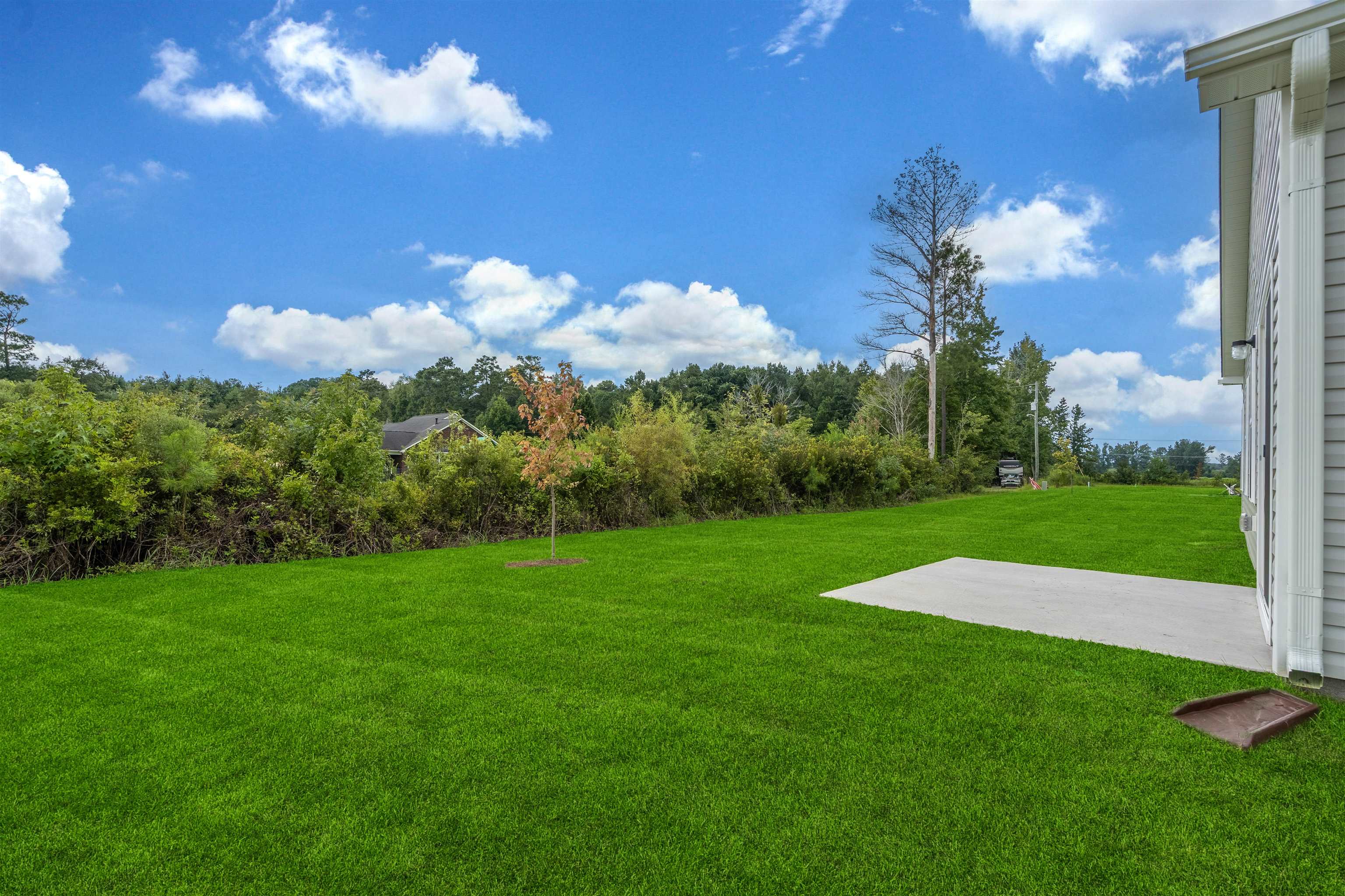 1074 Cherrystone Loop Property Photo 7