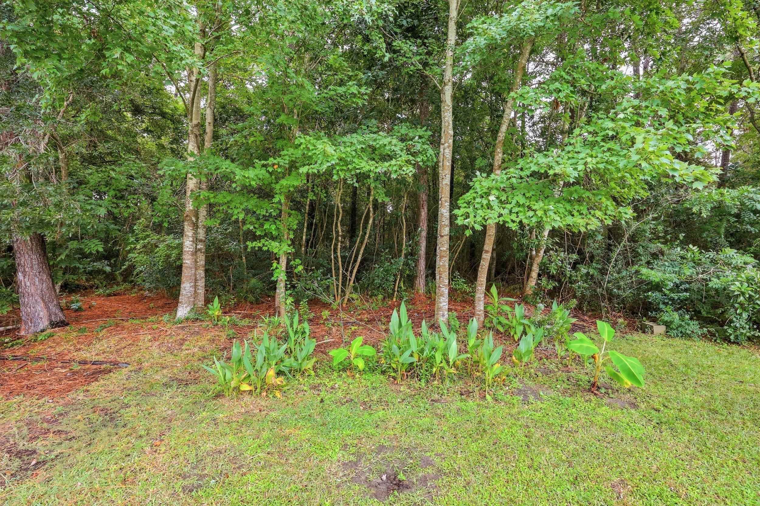 2517 Hunters Trail Property Photo 60