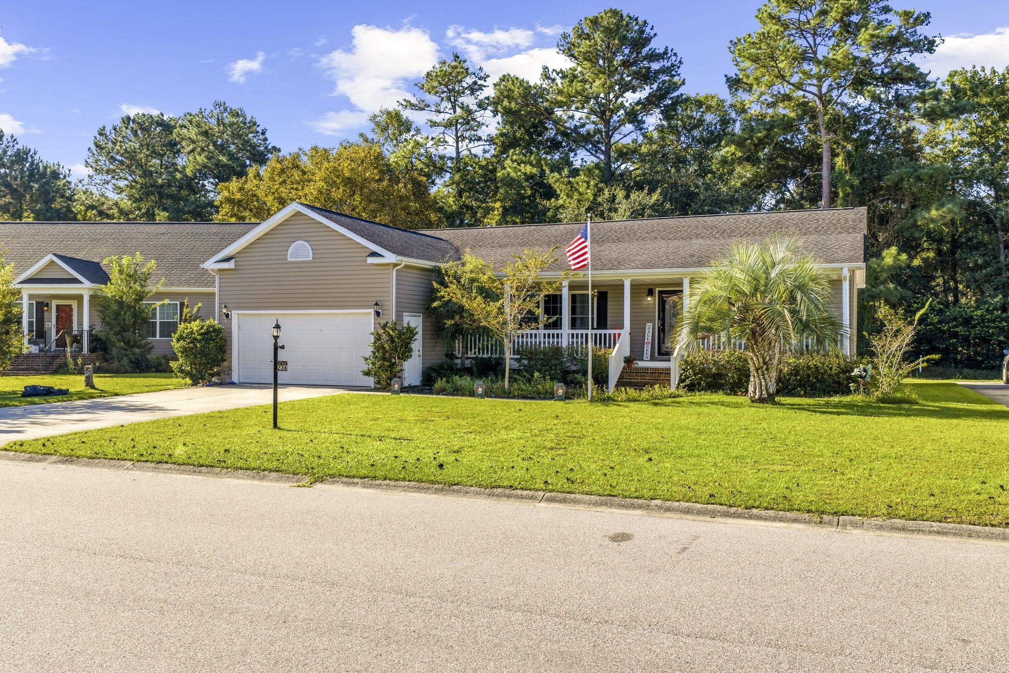 236 Stone Throw Dr. Property Photo 3