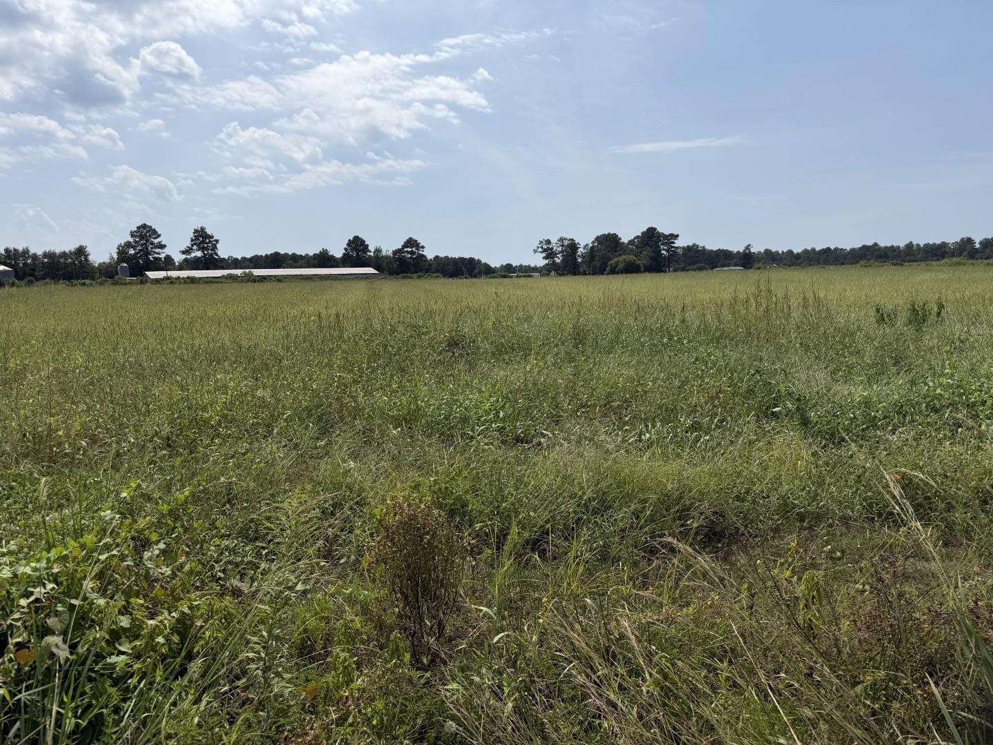 Tbd B And S Rd. Property Photo 2