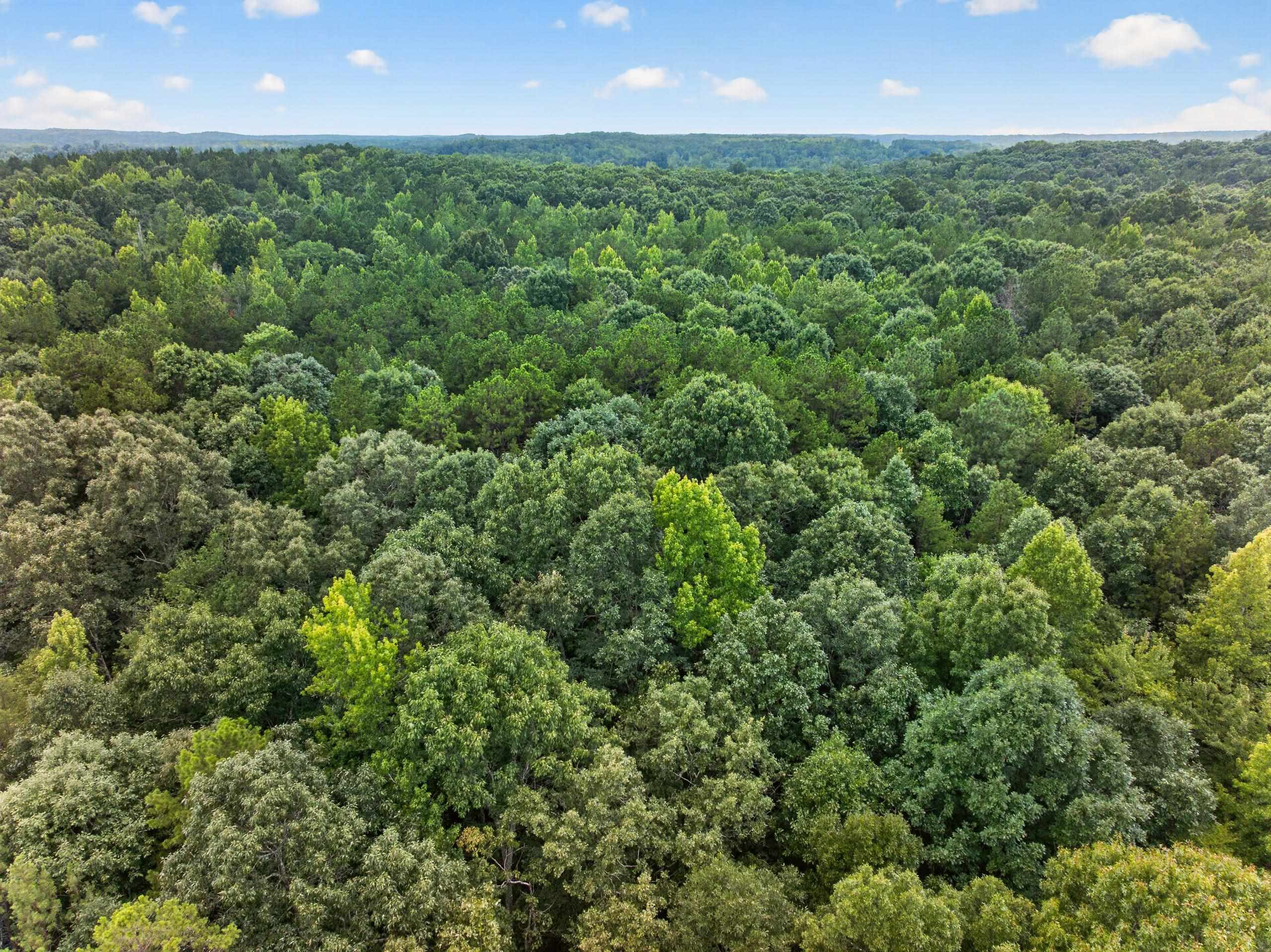 7000 John Furr Rd Property Photo 13