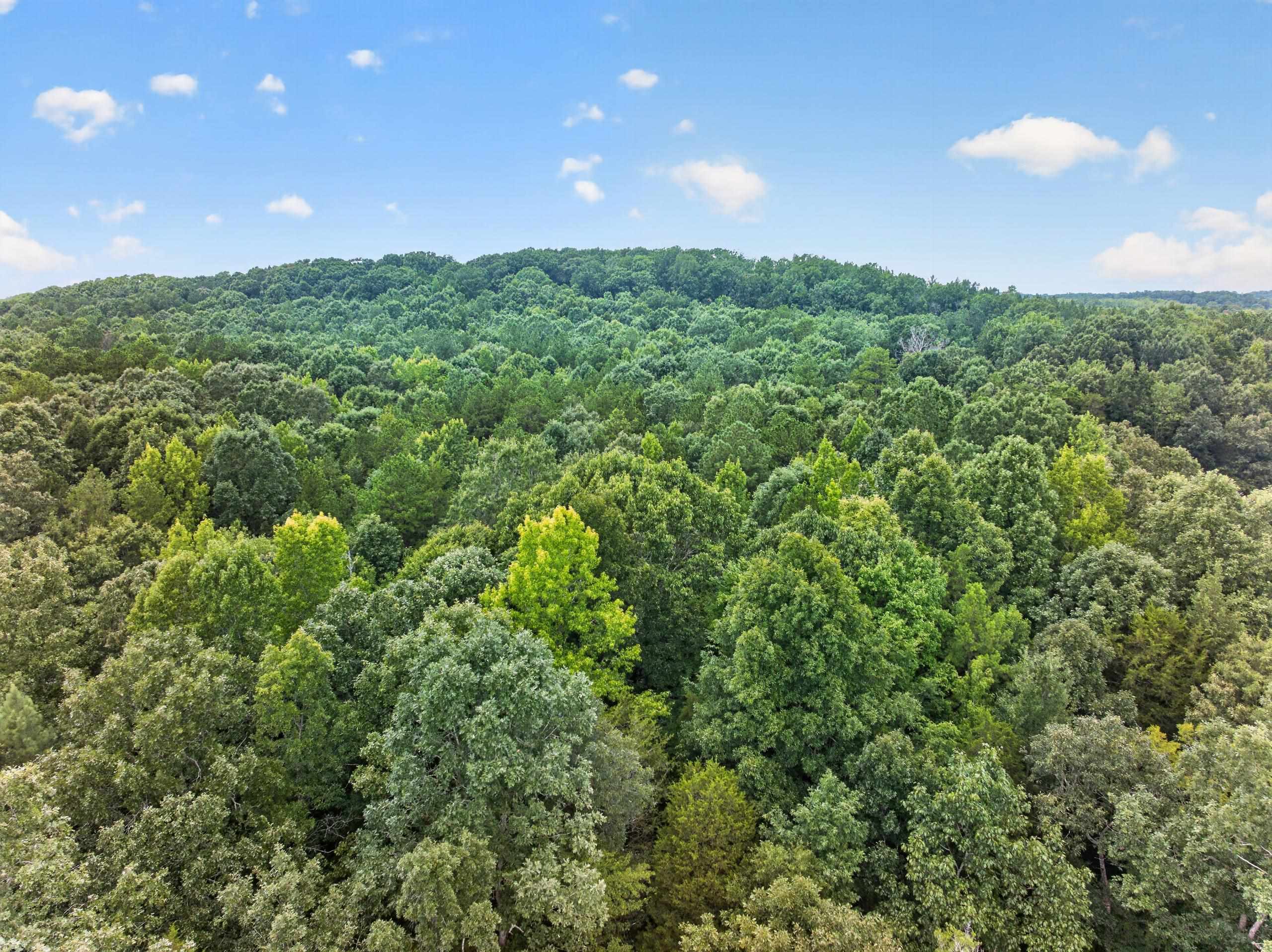 7000 John Furr Rd Property Photo 14