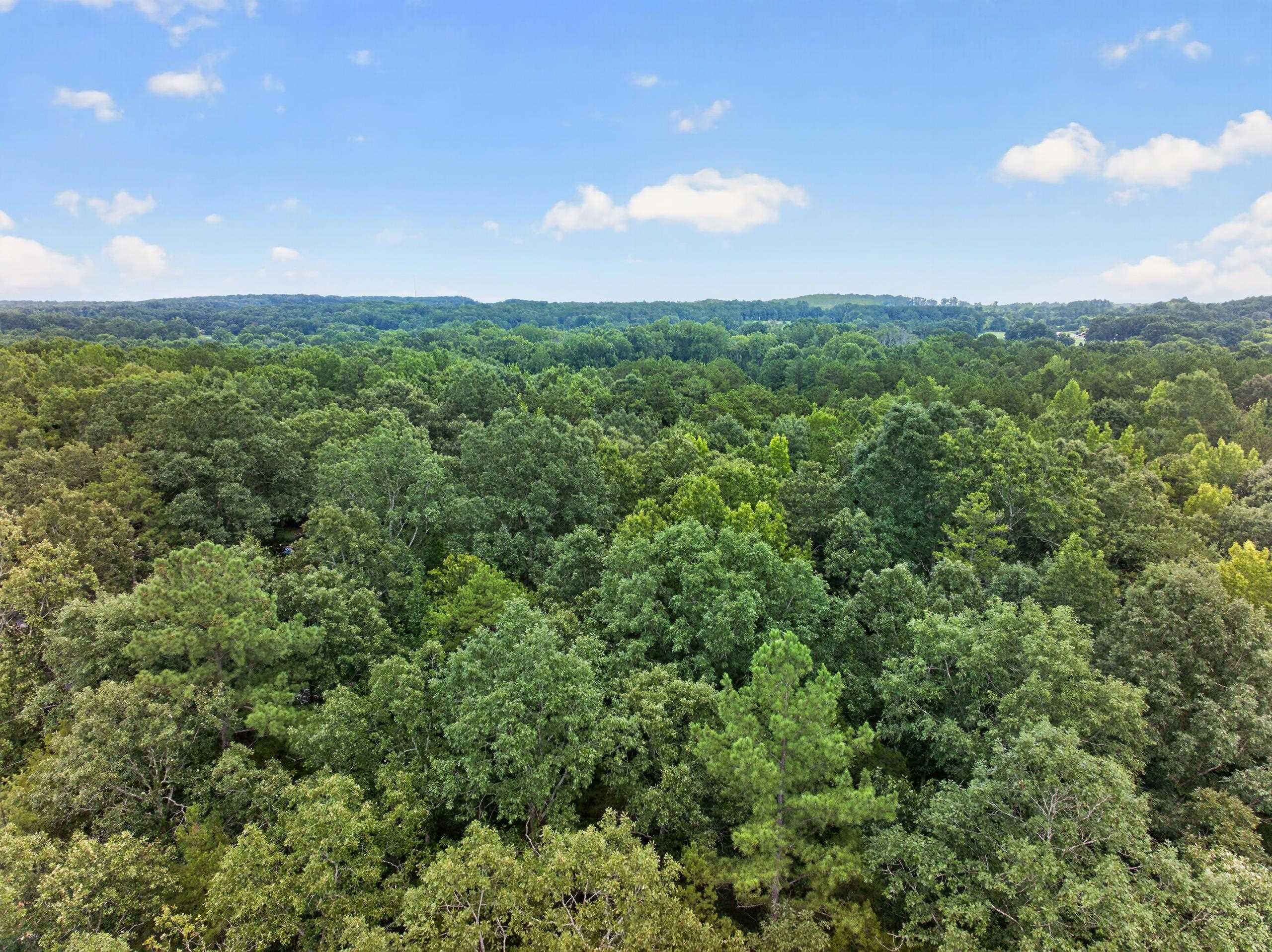 7000 John Furr Rd Property Photo 15