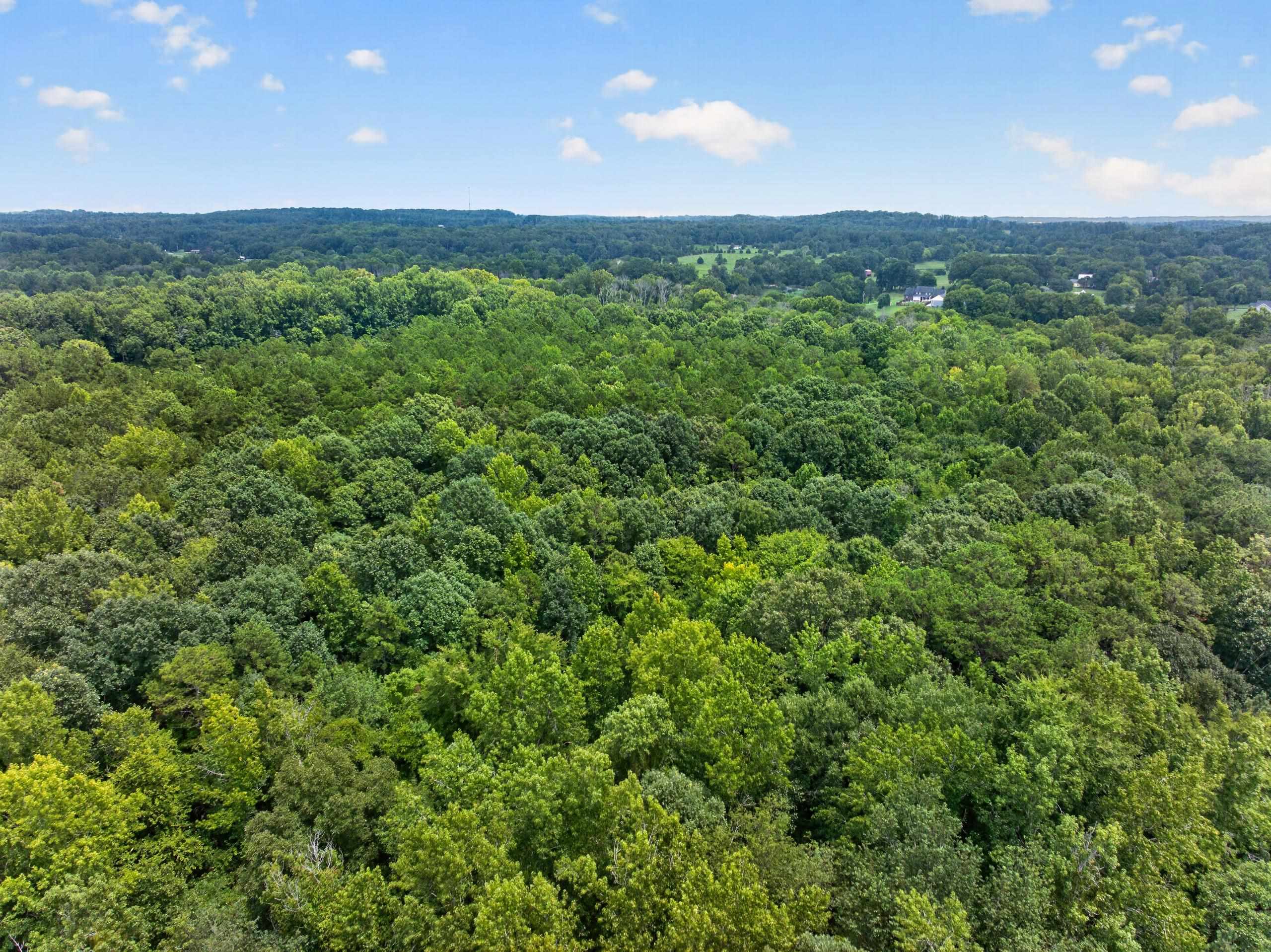 7000 John Furr Rd Property Photo 21