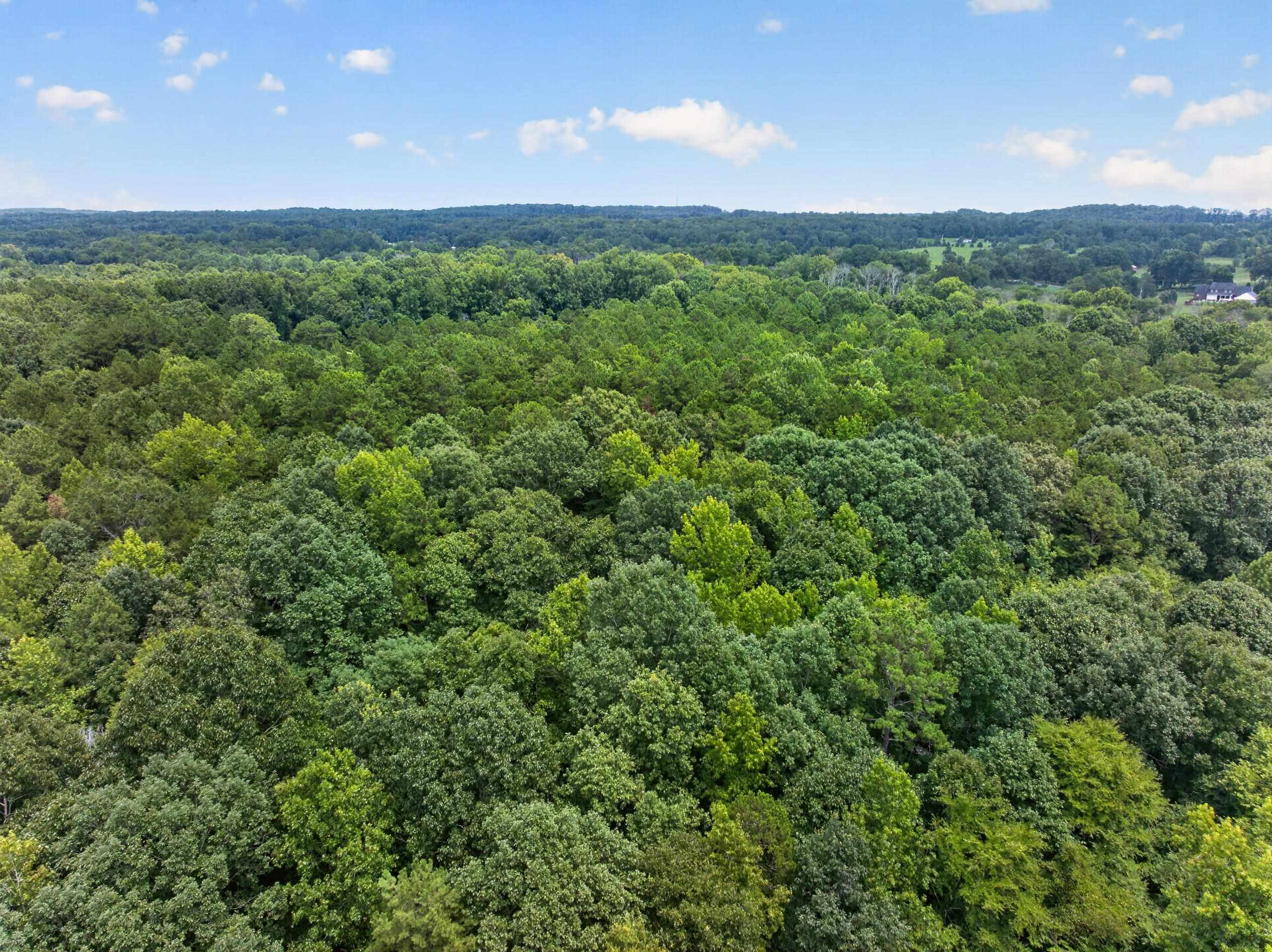 7000 John Furr Rd Property Photo 22