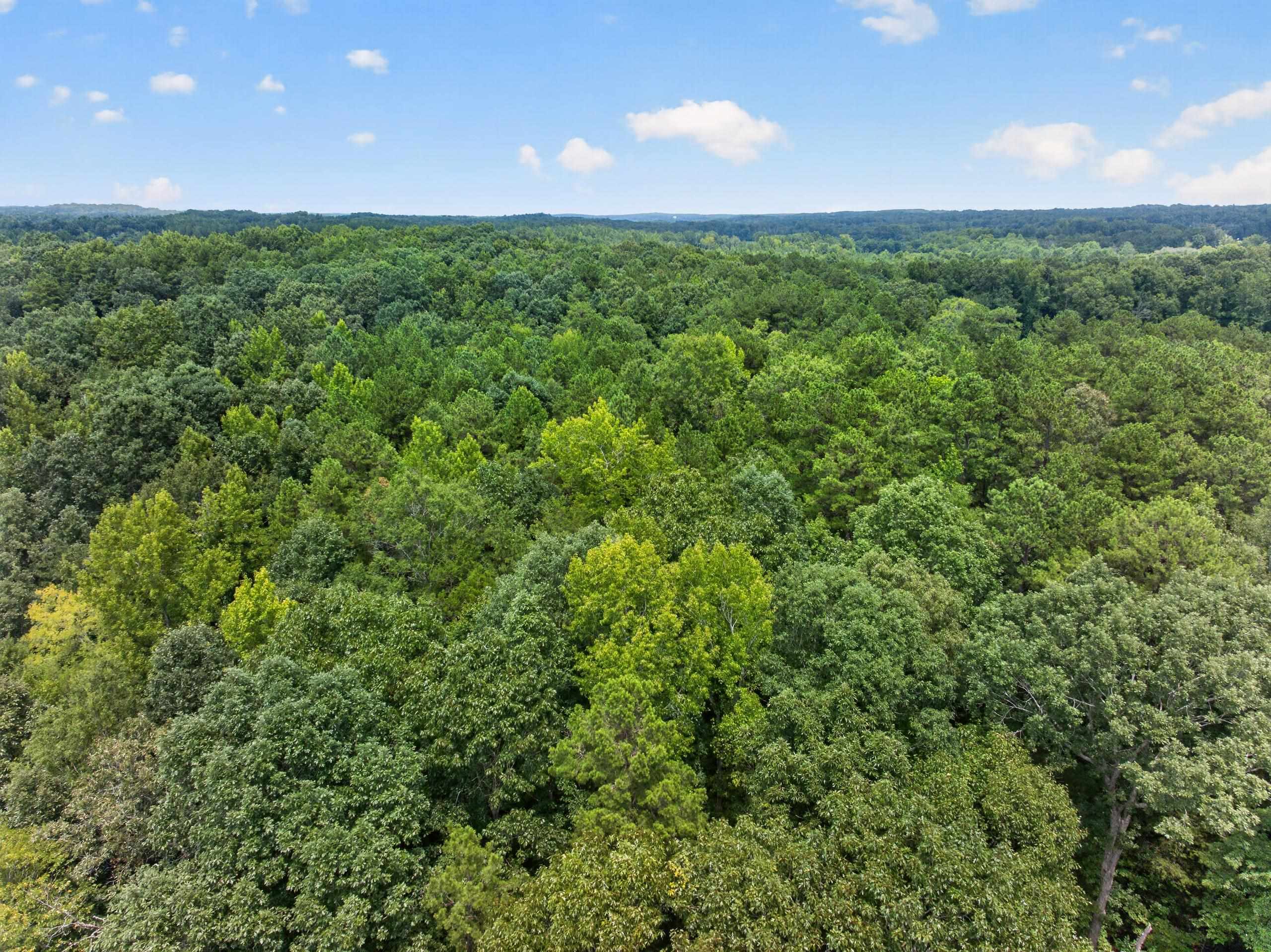 7000 John Furr Rd Property Photo 23