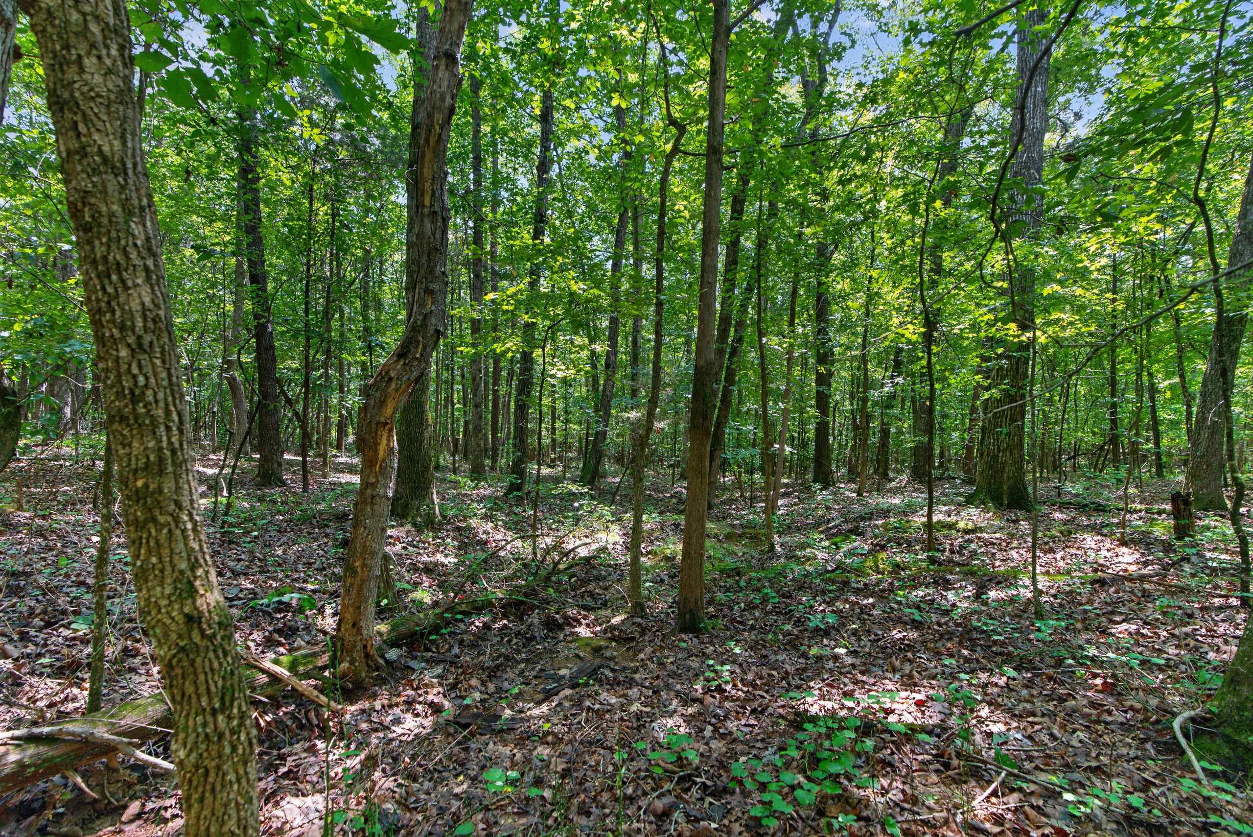 7000 John Furr Rd Property Photo 26