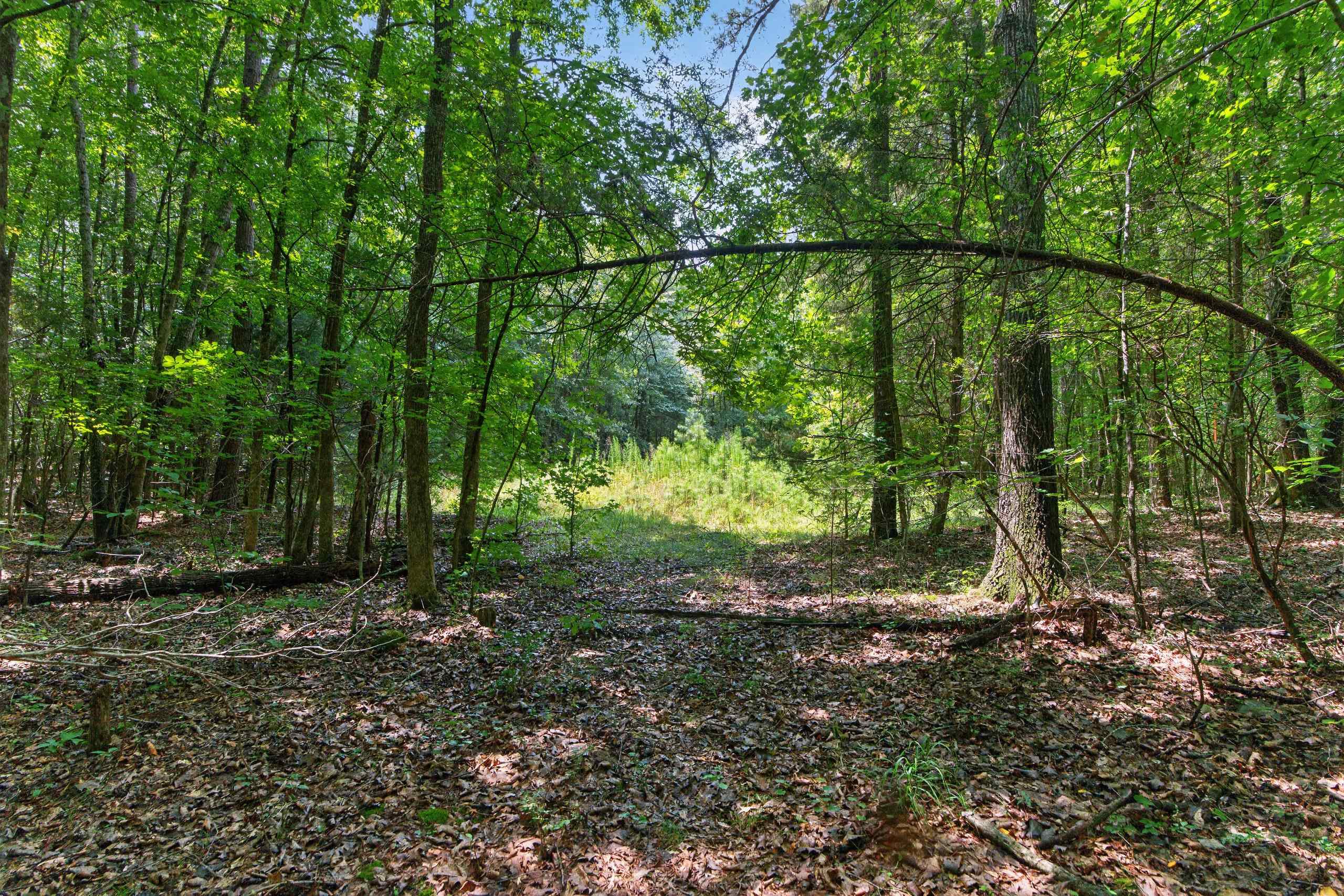 7000 John Furr Rd Property Photo 27