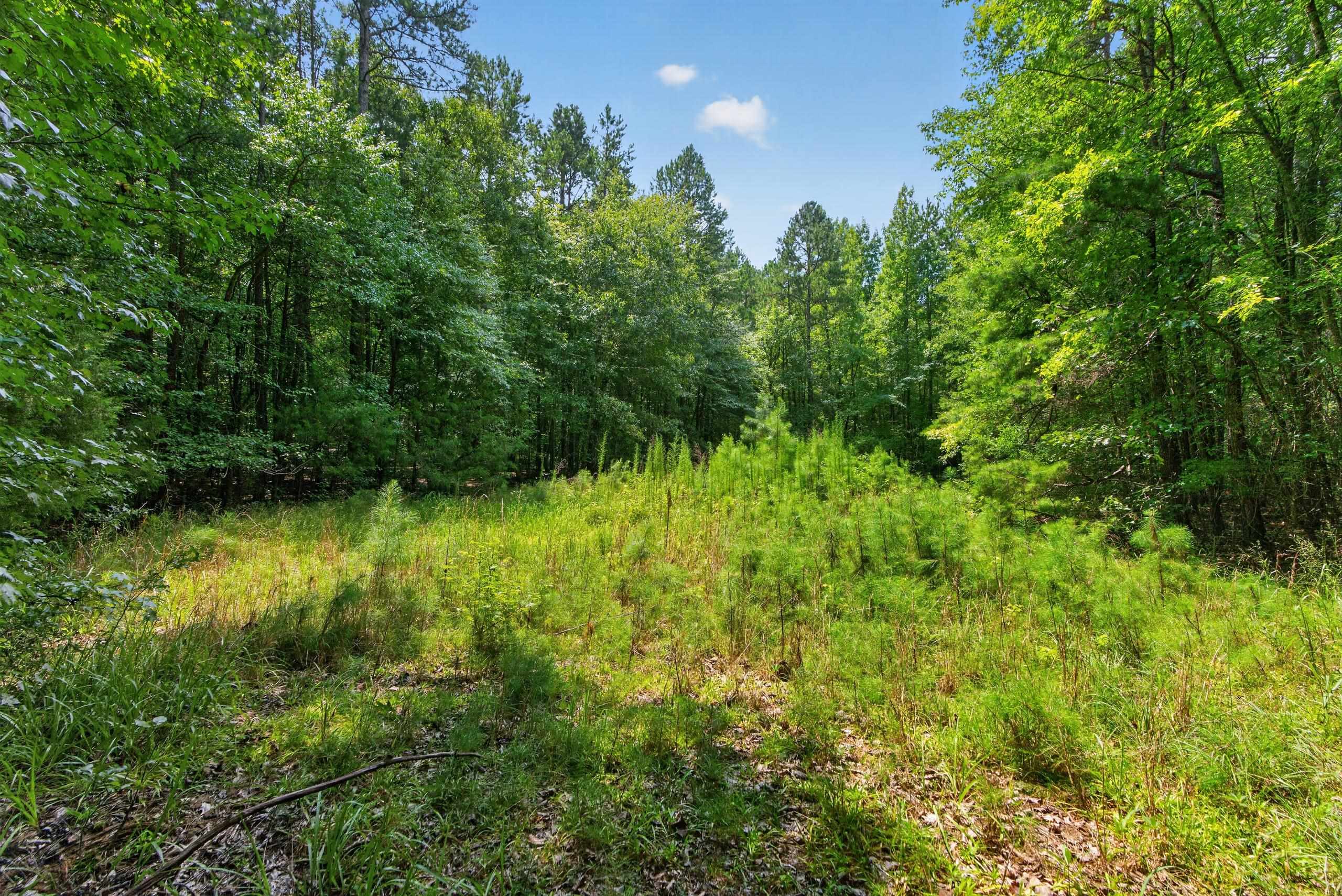 7000 John Furr Rd Property Photo 28