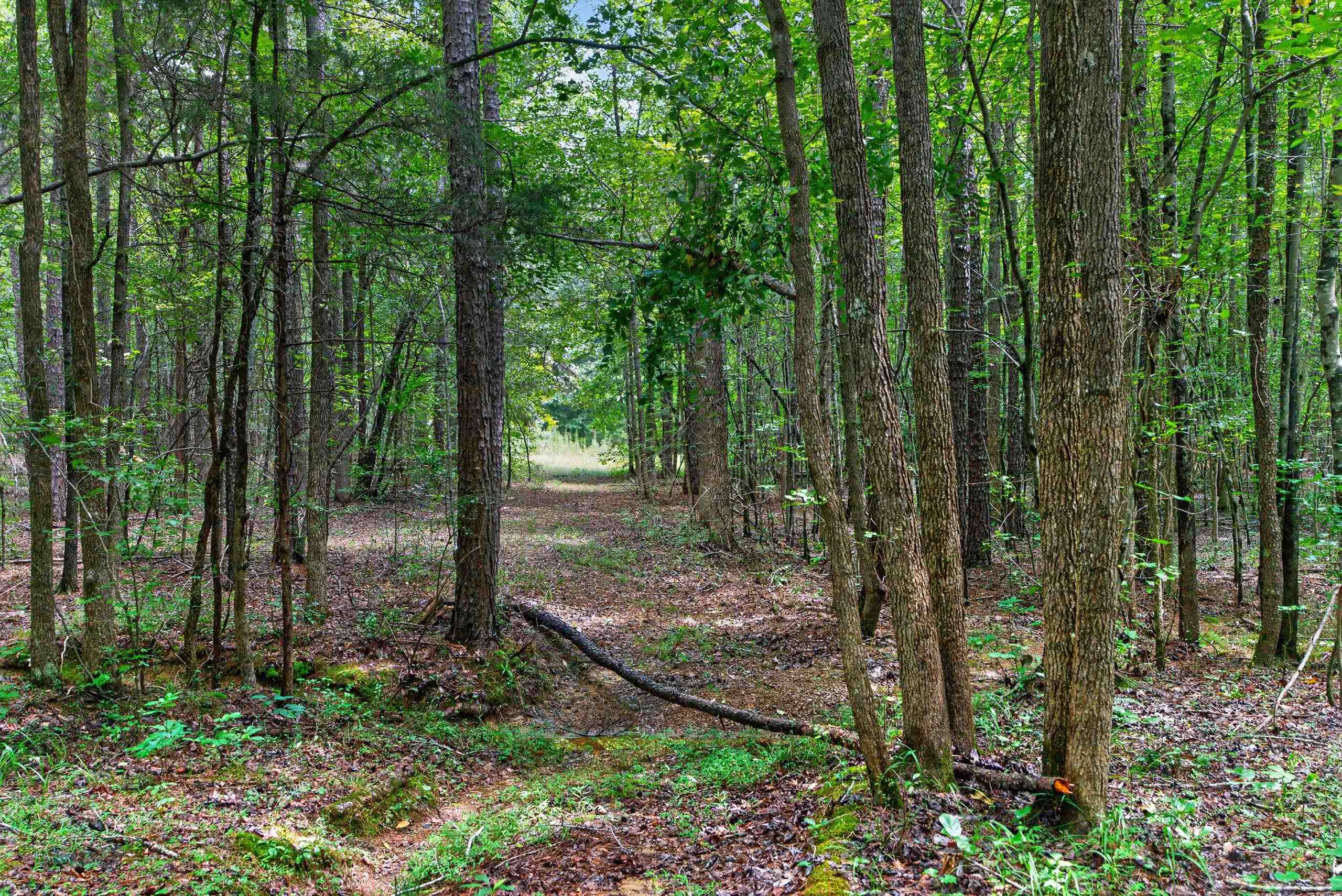7000 John Furr Rd Property Photo 31