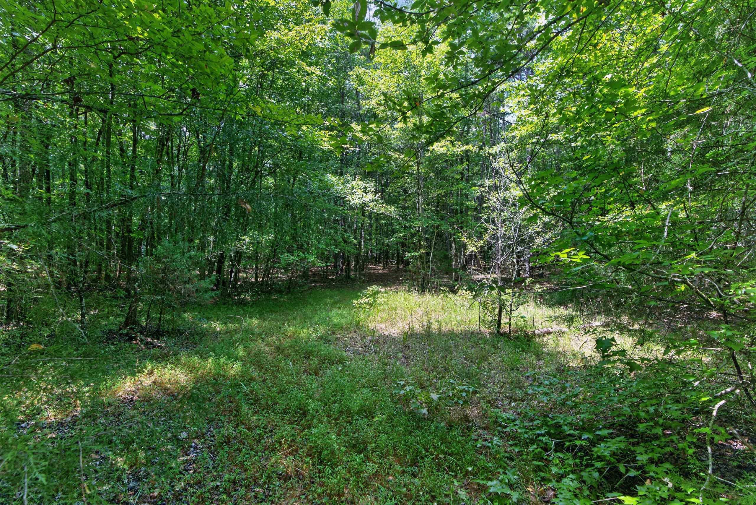 7000 John Furr Rd Property Photo 33