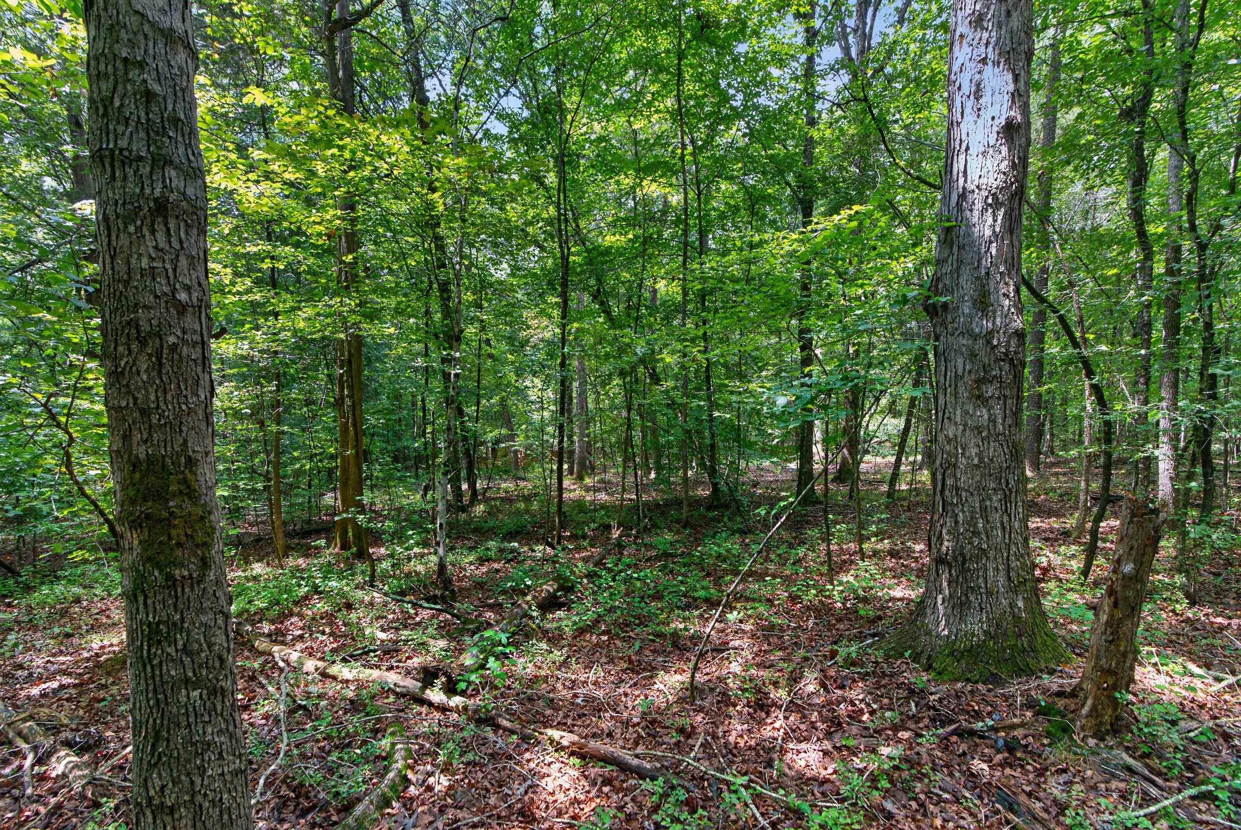 7000 John Furr Rd Property Photo 35