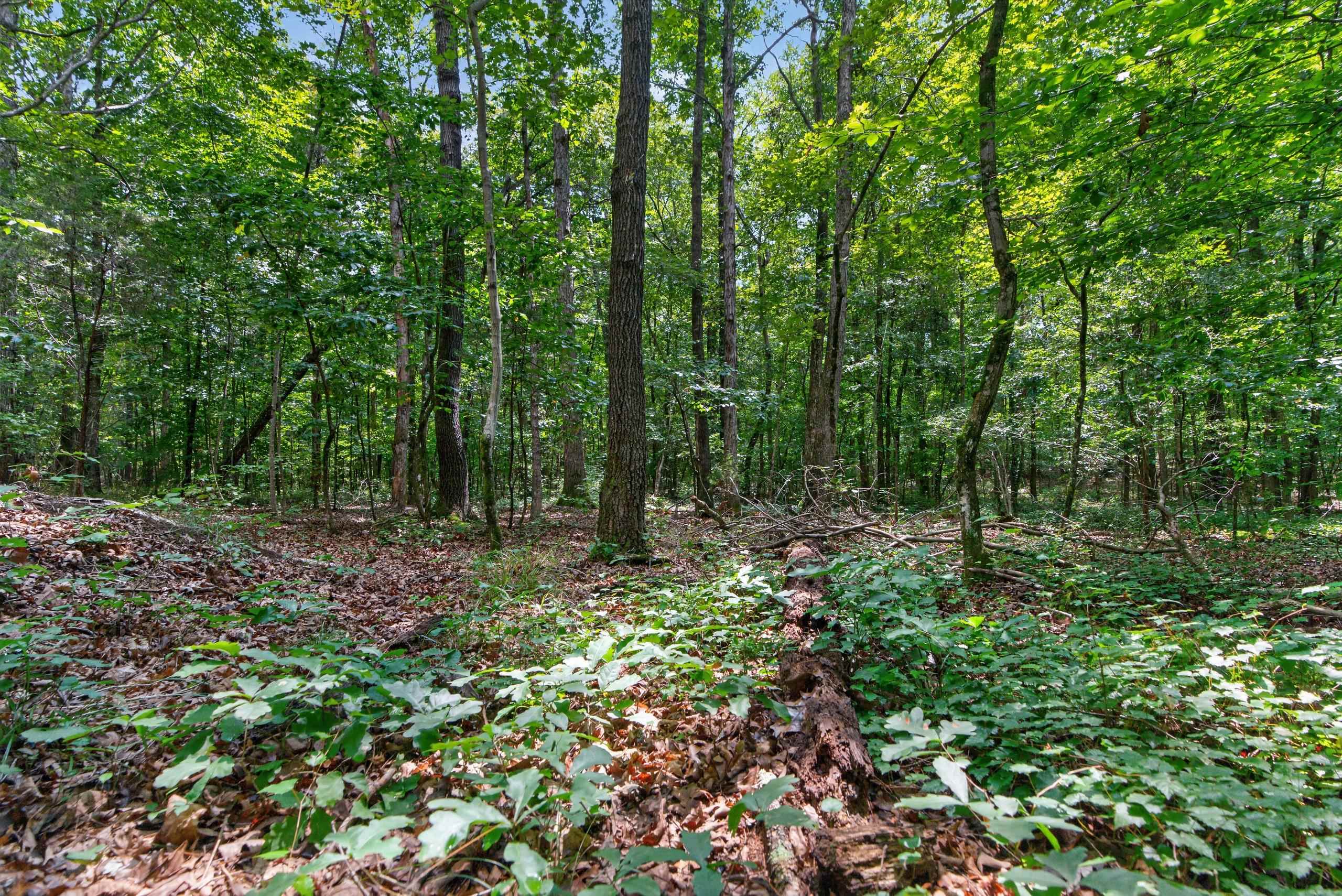 7000 John Furr Rd Property Photo 36