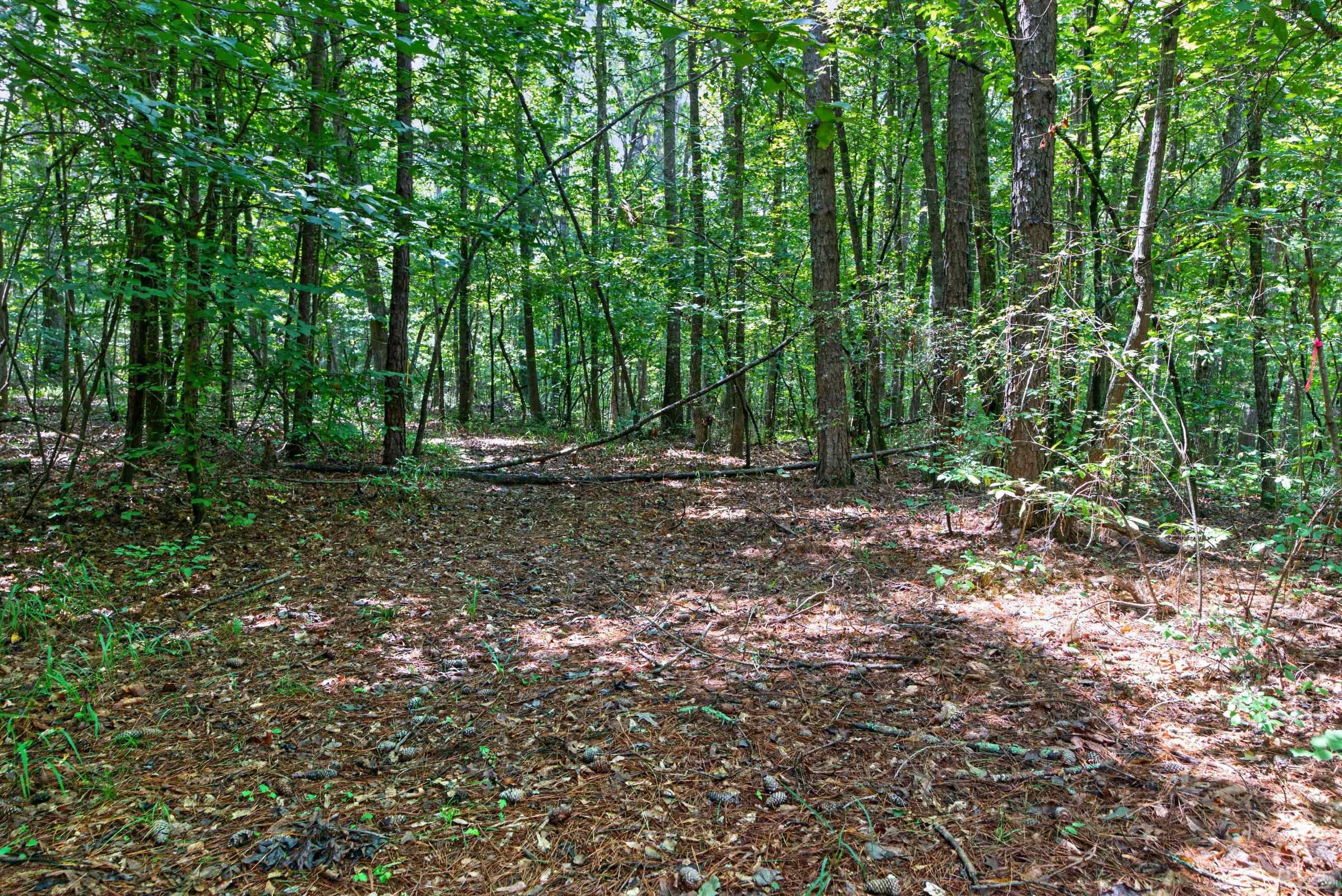 7000 John Furr Rd Property Photo 37