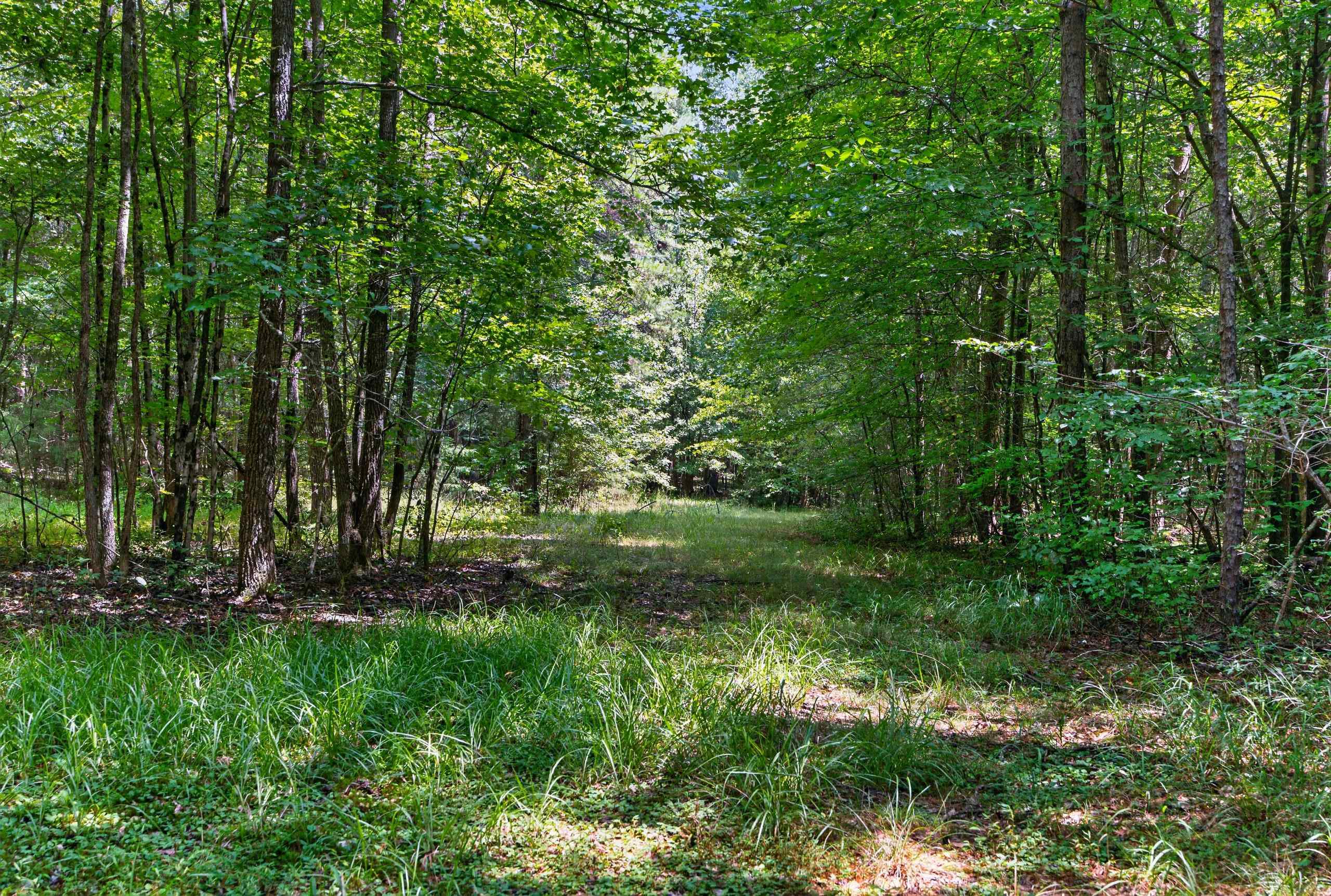 7000 John Furr Rd Property Photo 38