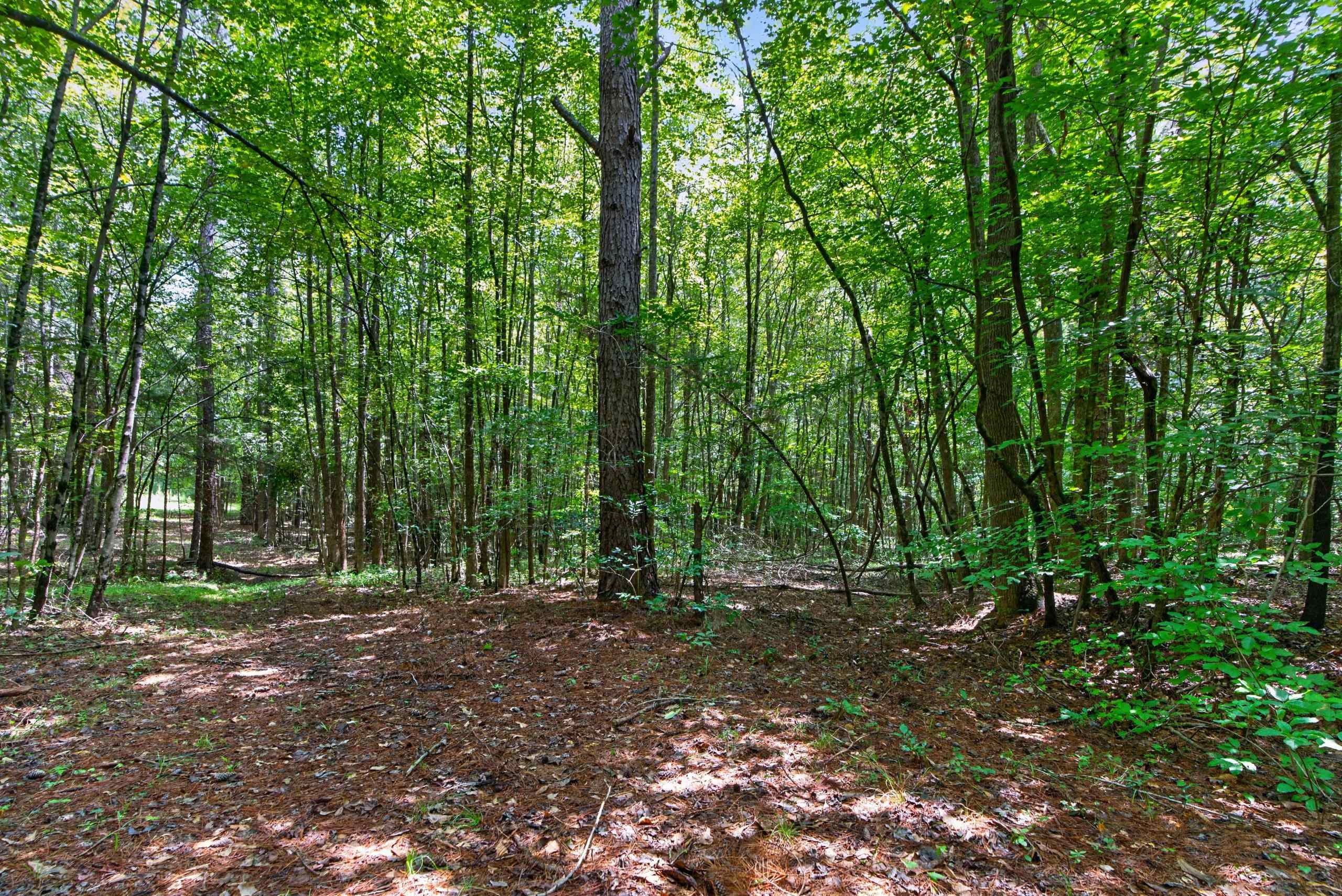7000 John Furr Rd Property Photo 40