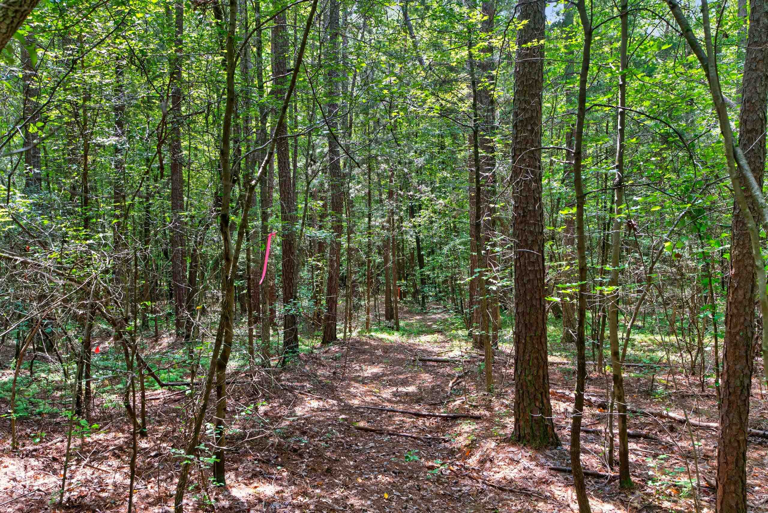 7000 John Furr Rd Property Photo 41