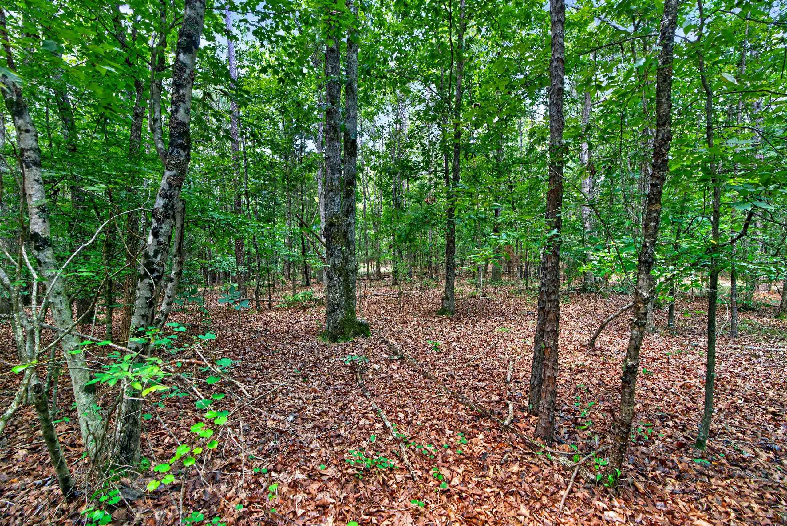 7000 John Furr Rd Property Photo 43