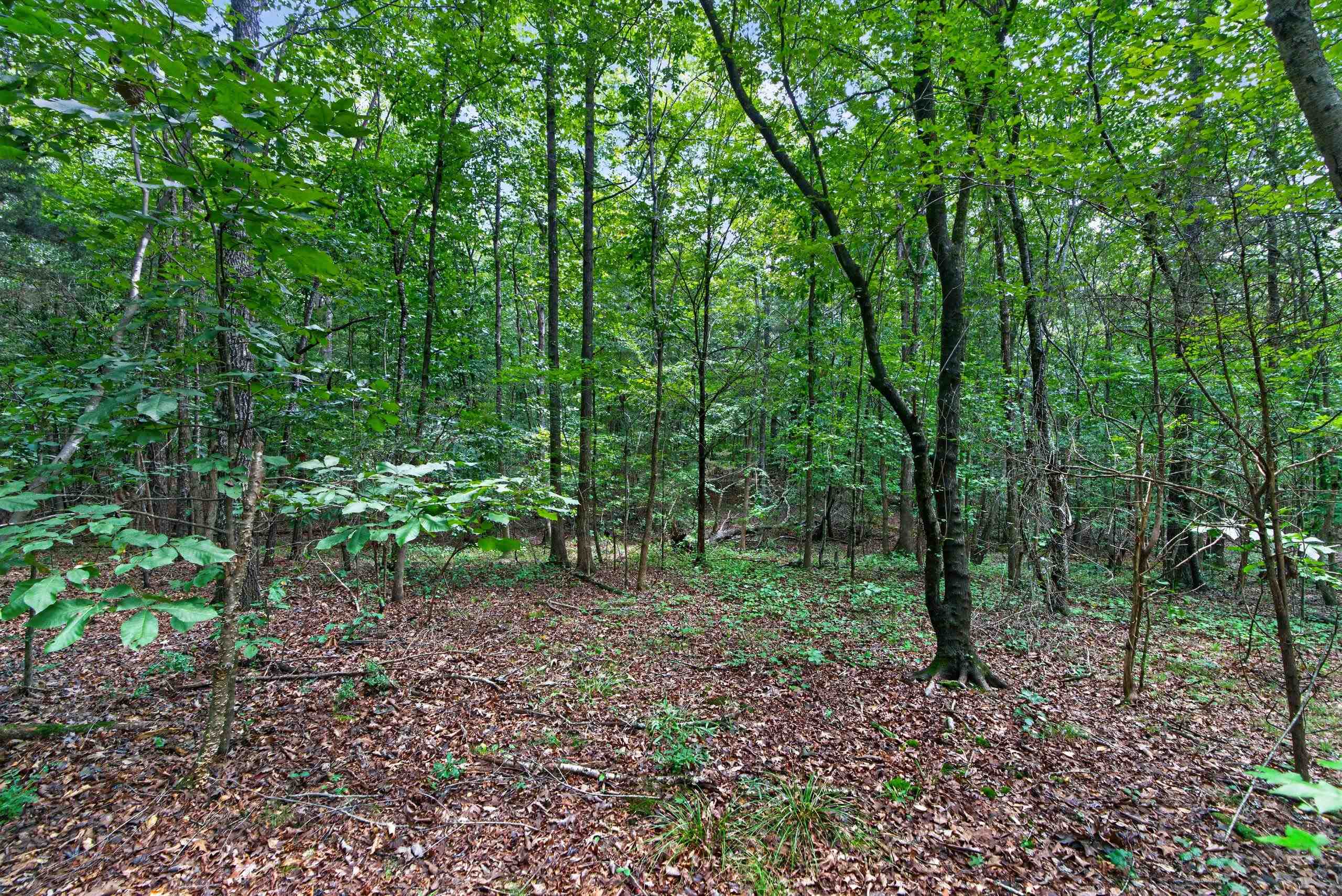 7000 John Furr Rd Property Photo 44