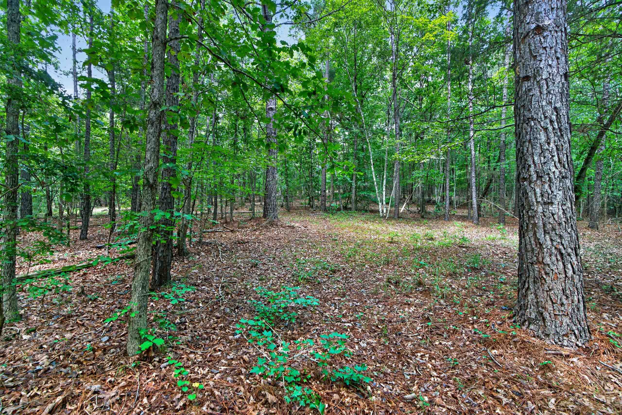 7000 John Furr Rd Property Photo 45