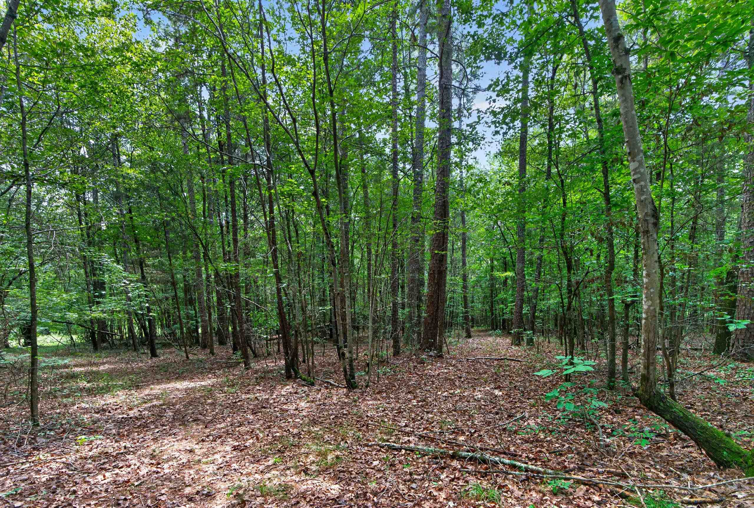 7000 John Furr Rd Property Photo 46