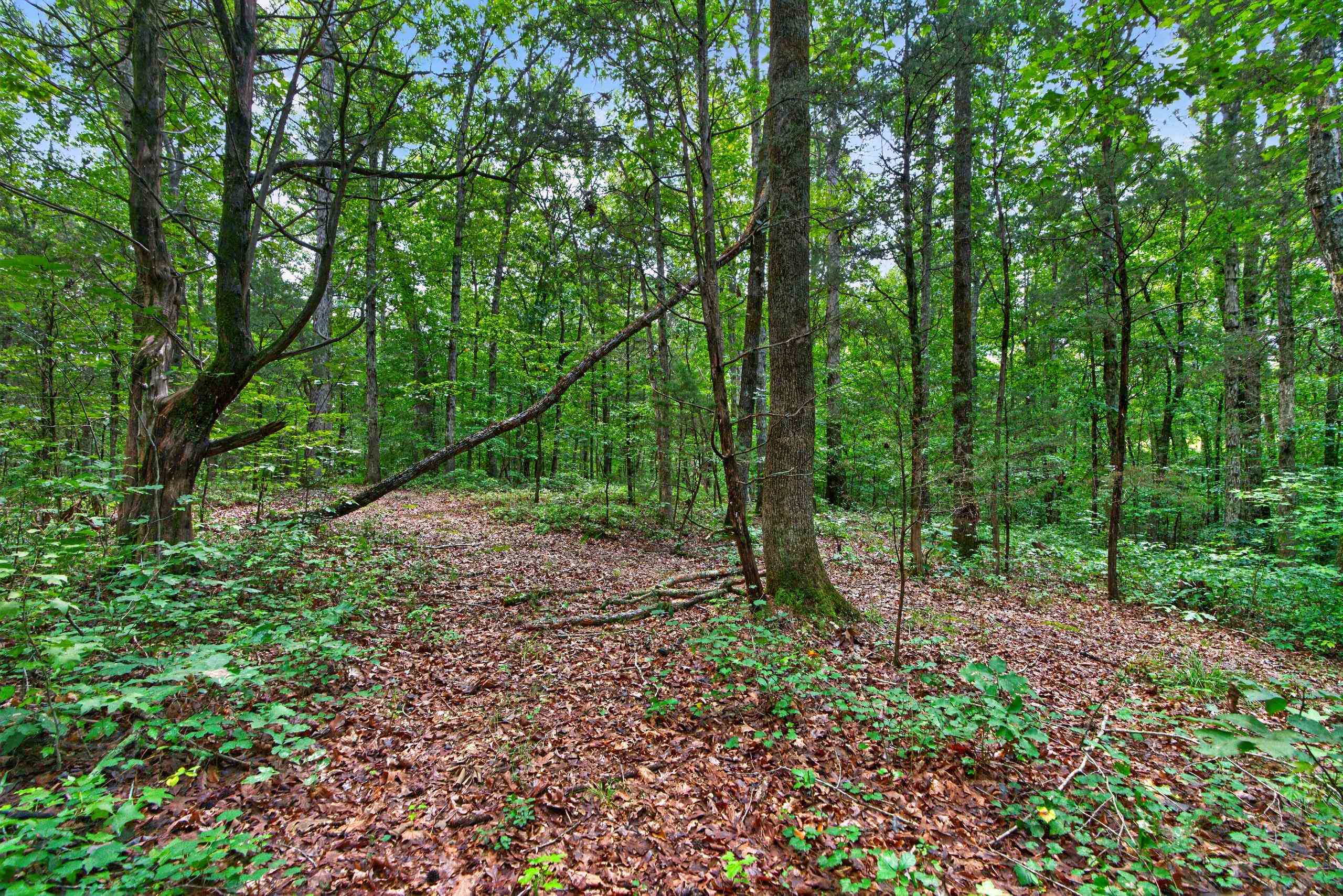 7000 John Furr Rd Property Photo 47