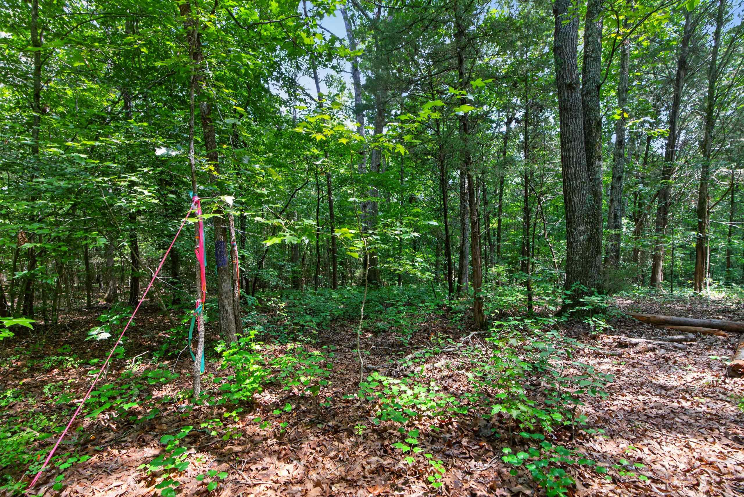 7000 John Furr Rd Property Photo 48