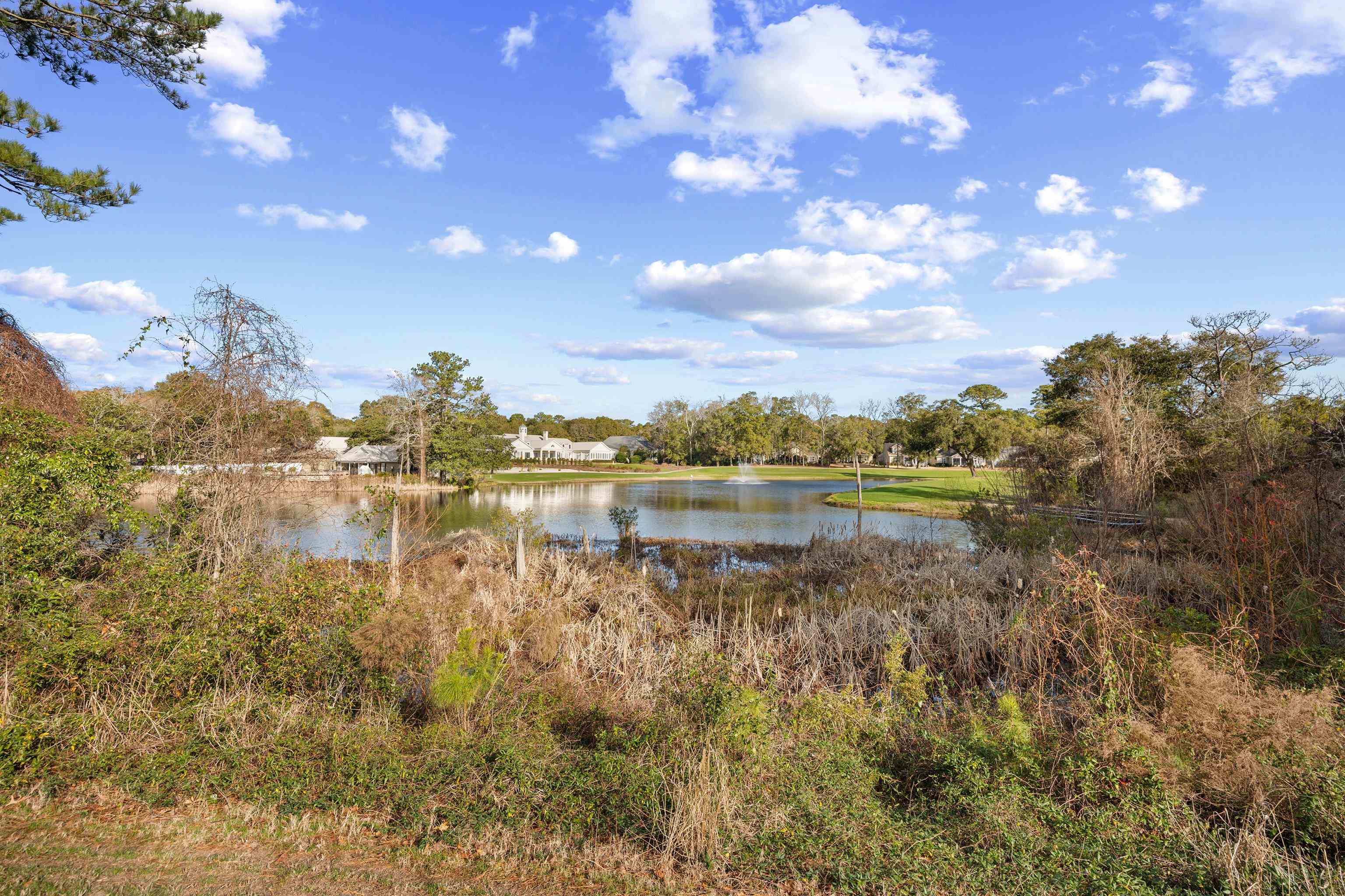 164 Stillwood Dr. Property Photo 45