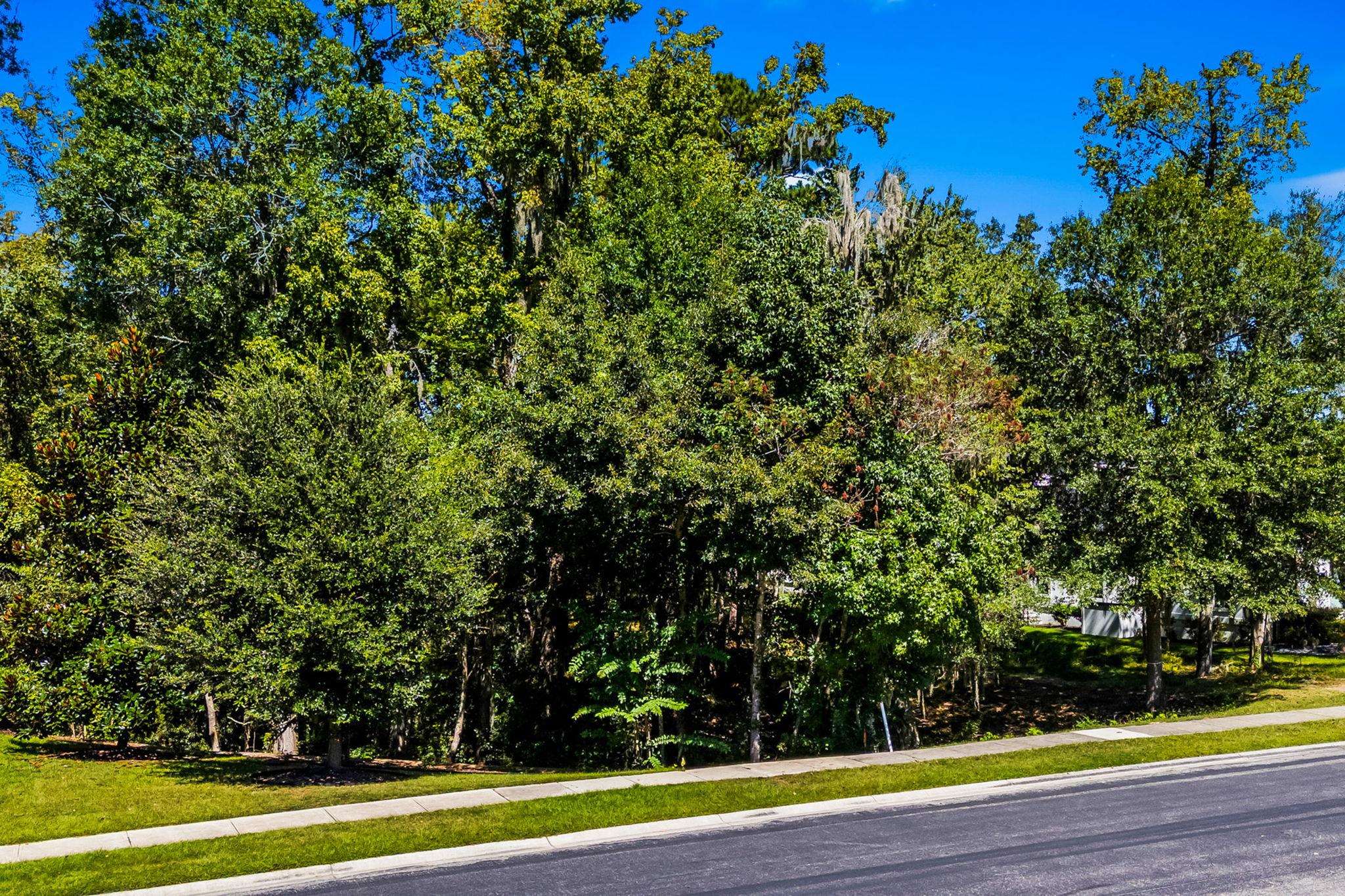 384 Chamberlin Rd. Property Photo 18