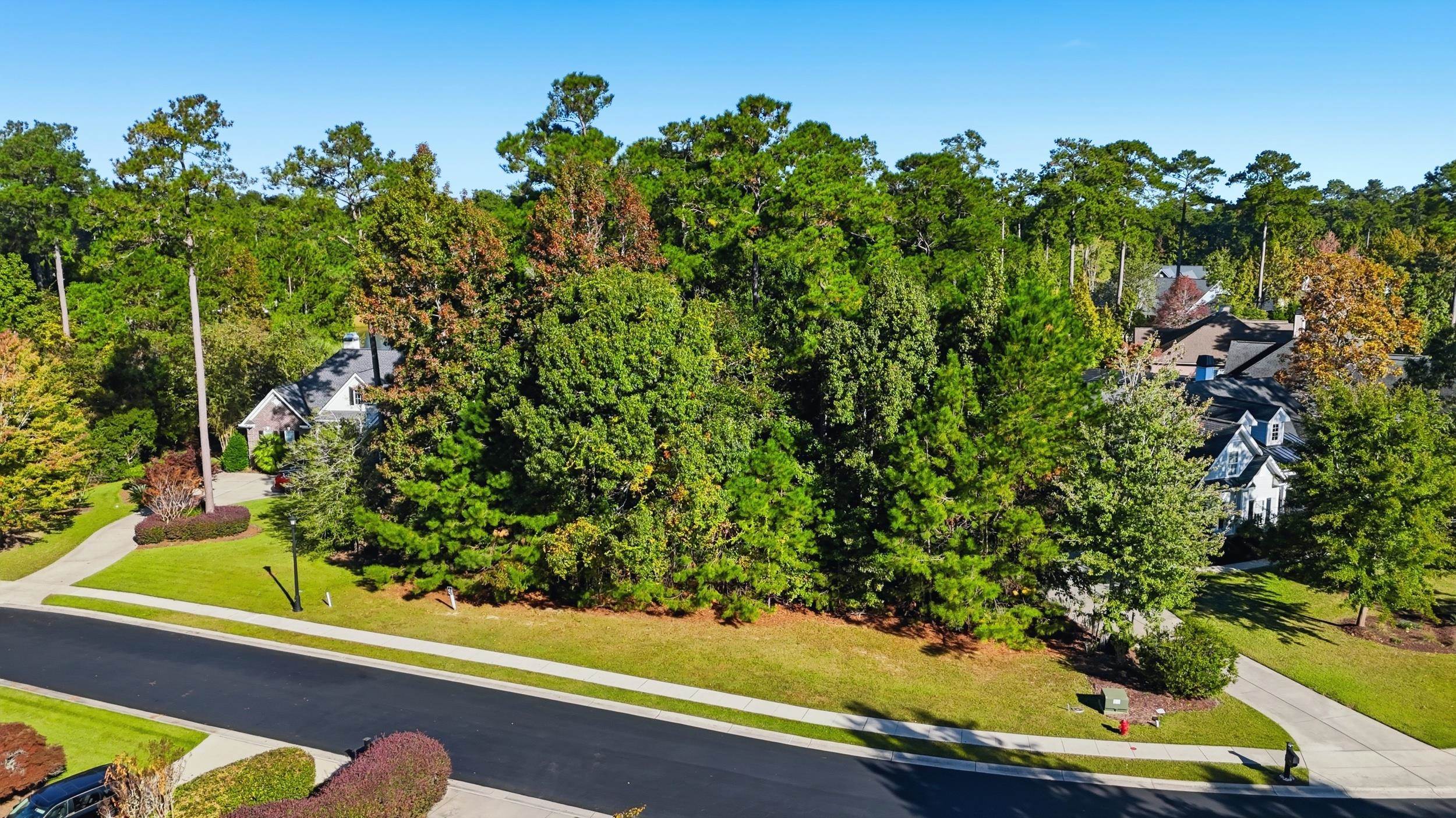 155 Low Country Loop Property Photo 4