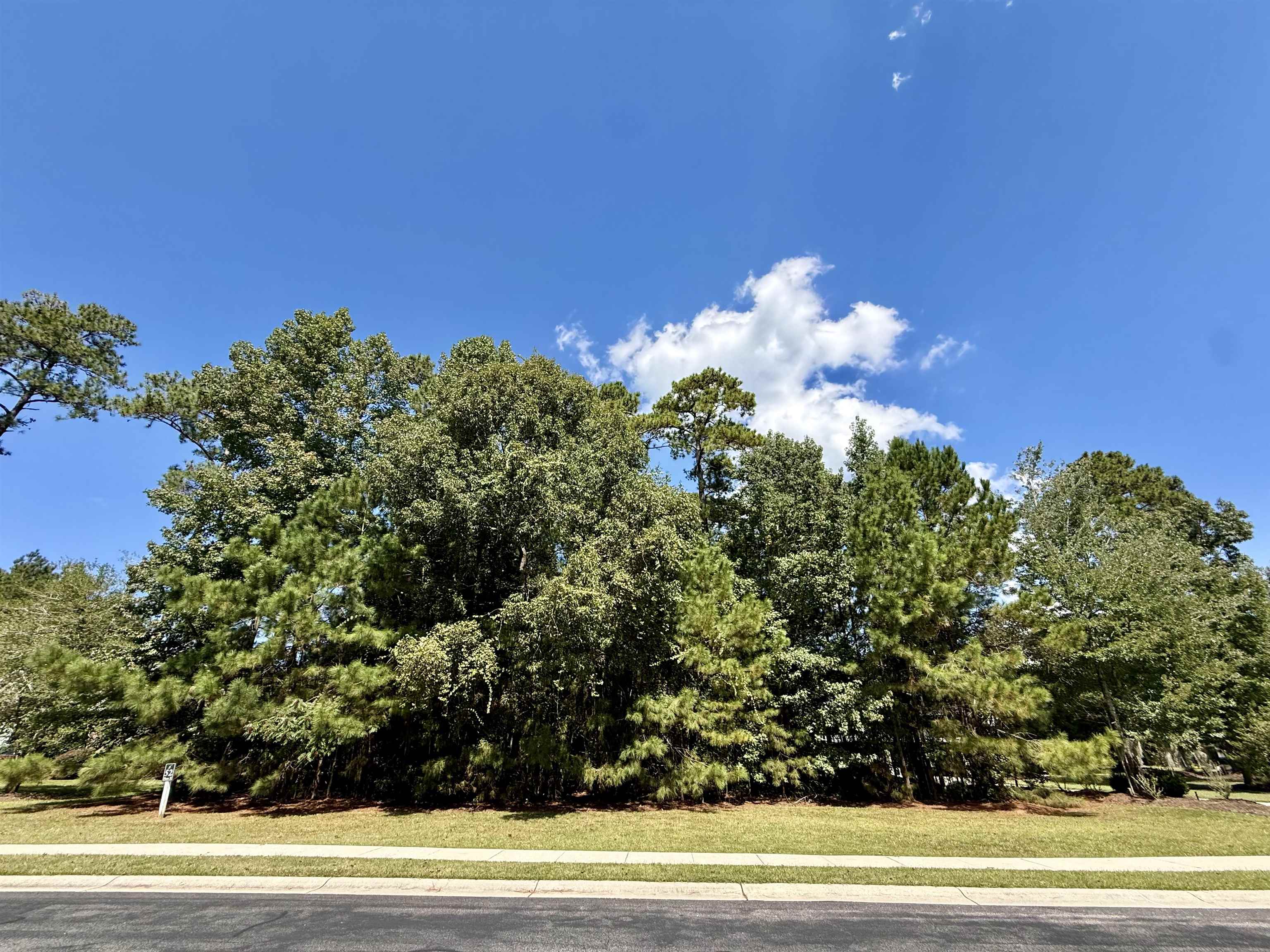 155 Low Country Loop Property Photo 23