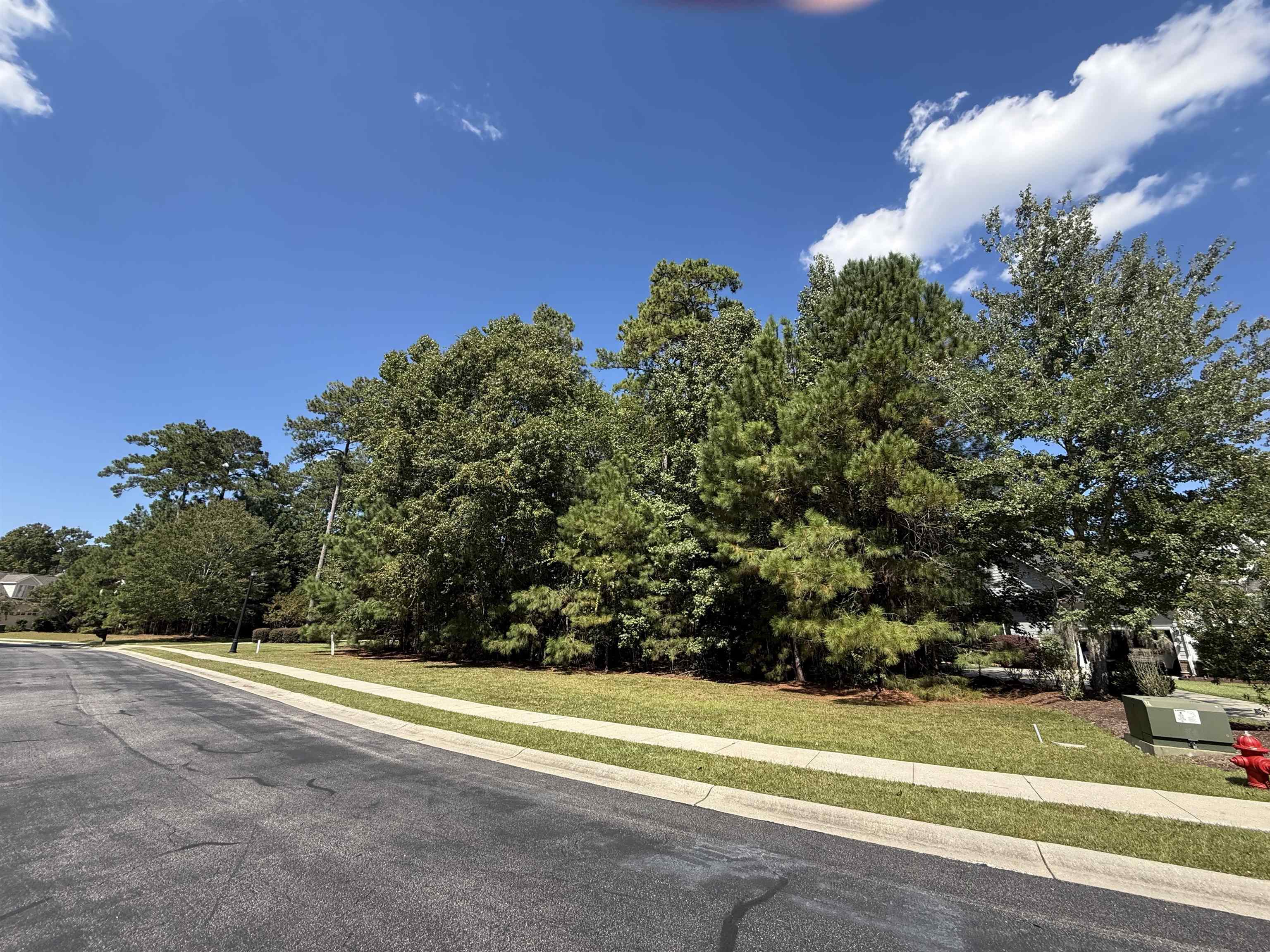 155 Low Country Loop Property Photo 28