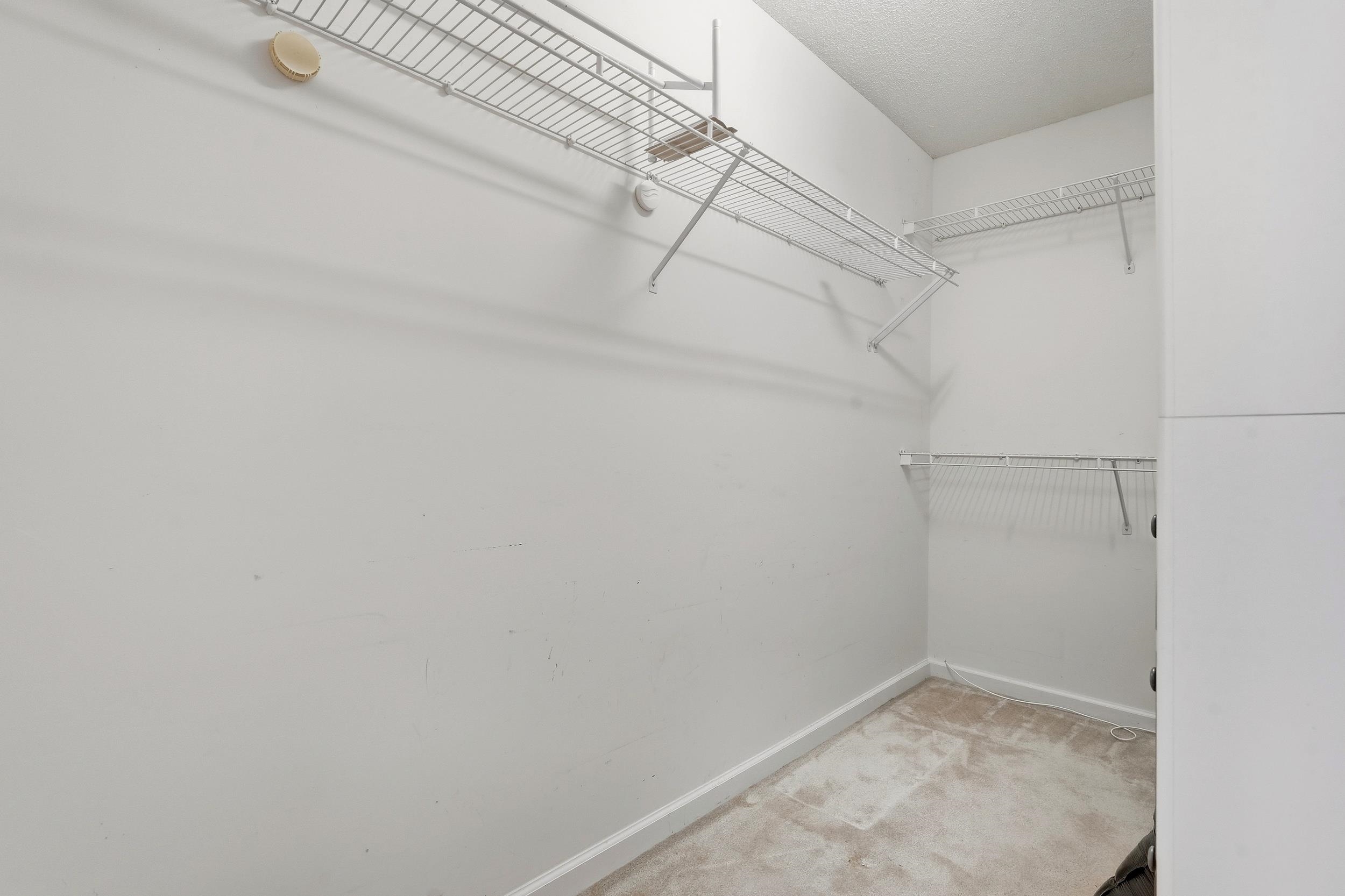 1237 Ambling Way Dr. Property Photo 25