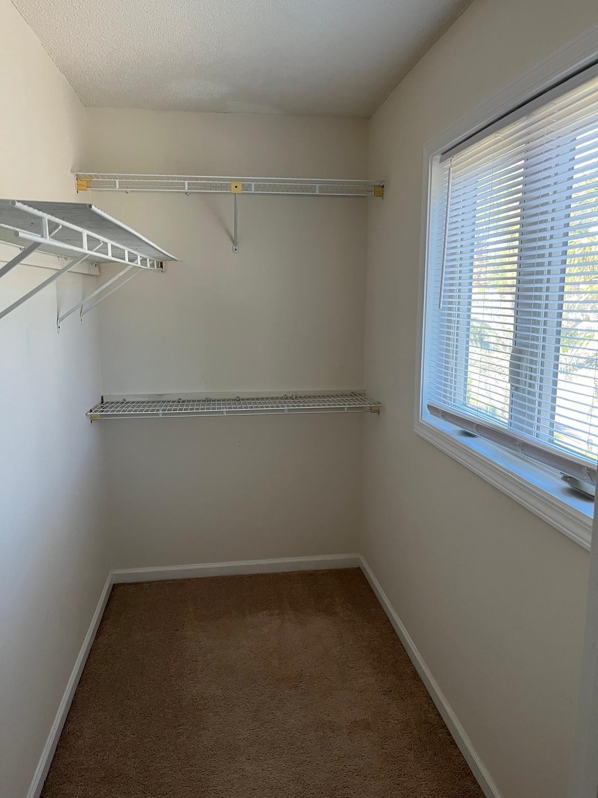 204 Double Eagle Dr. Property Photo 15