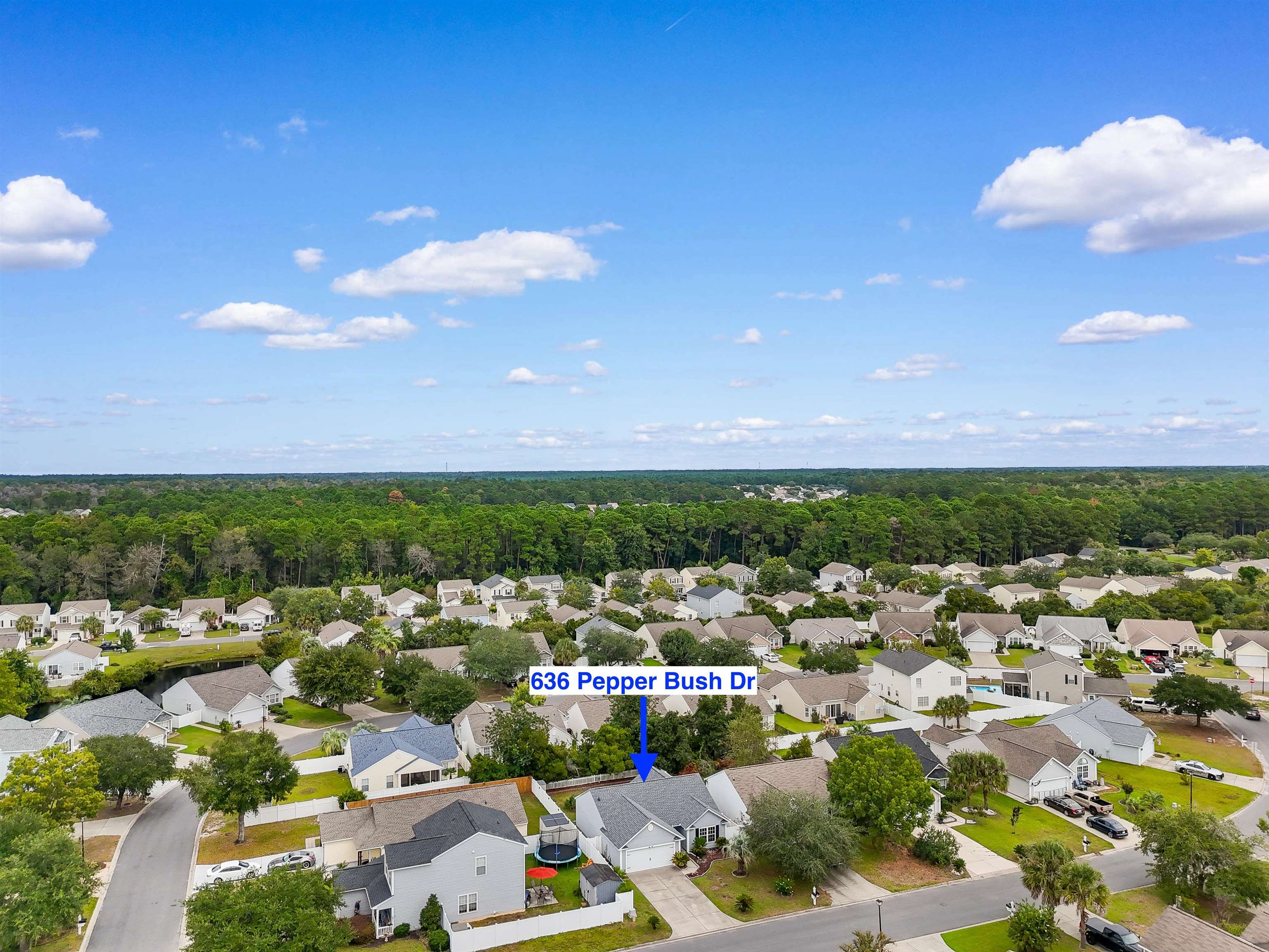636 Pepperbush Dr. Property Photo 34