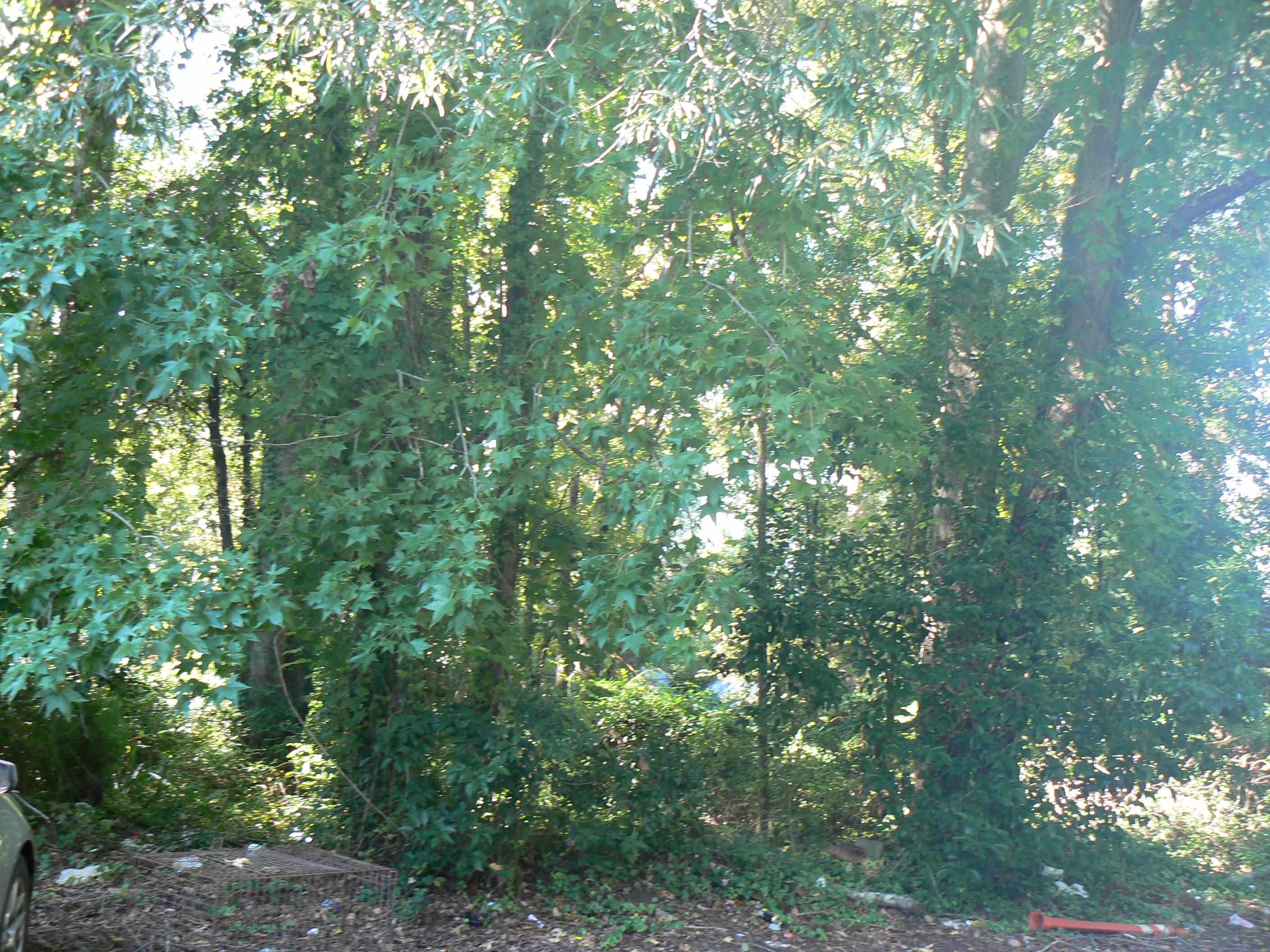 1405 Shavis Ct. Property Photo 1