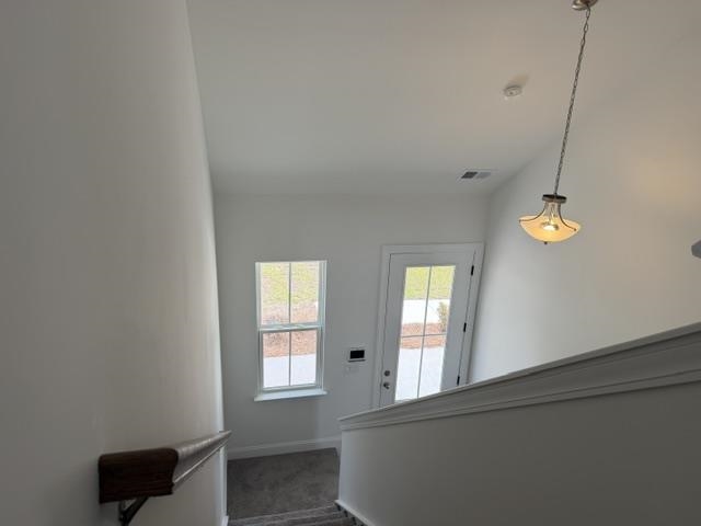 3810 Richardson St. Property Photo 31