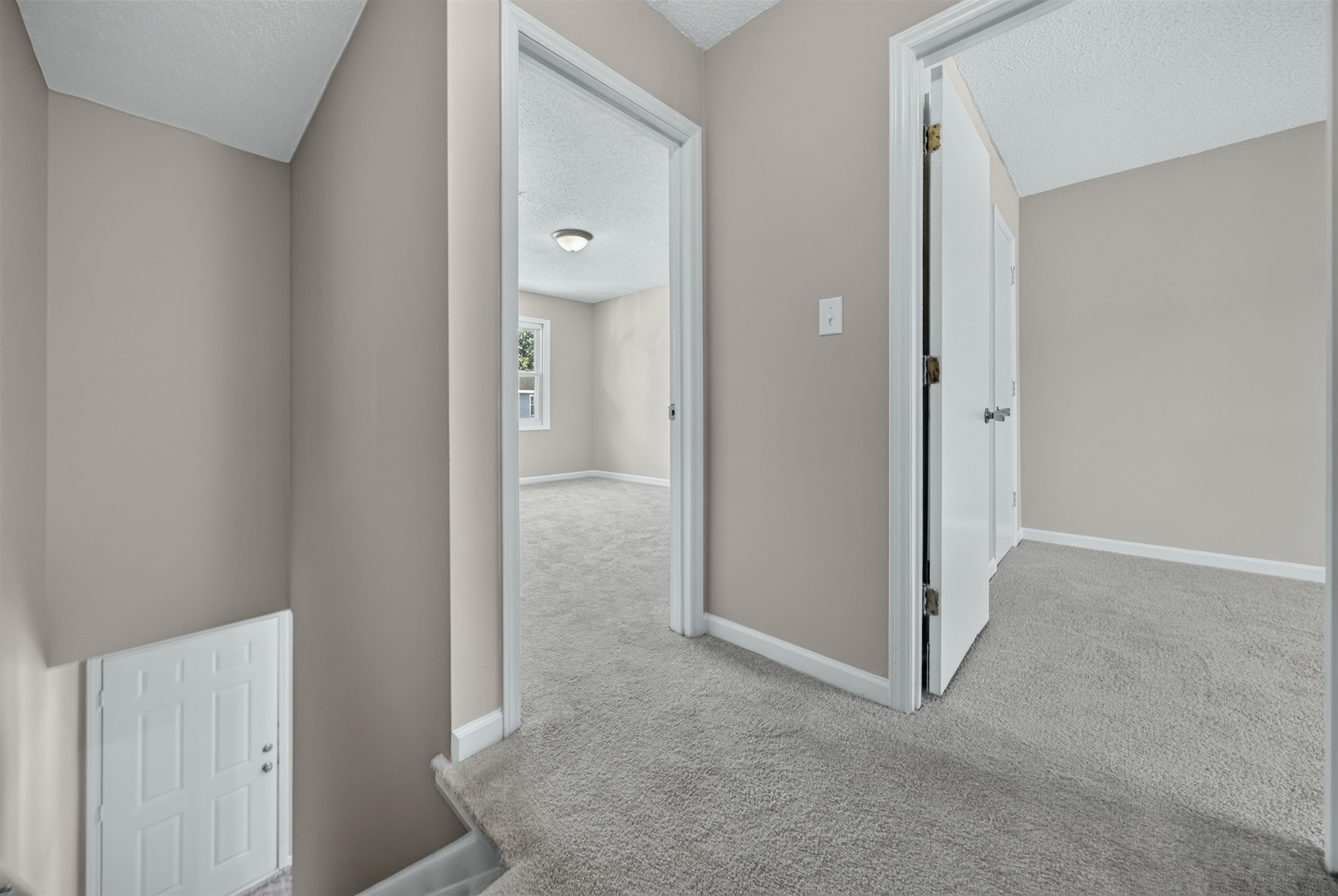 6310 Wedgewood St. Property Photo 16
