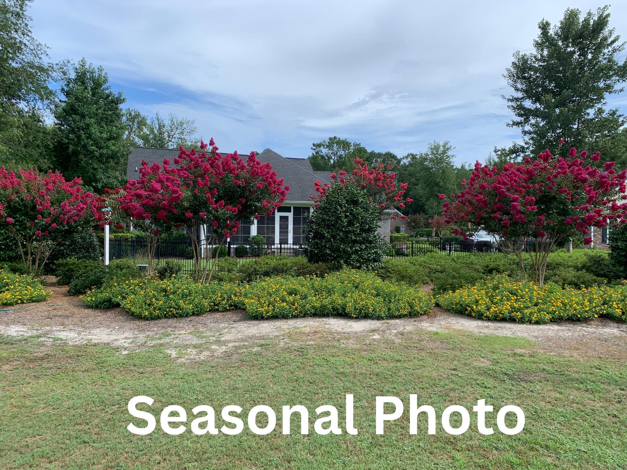 272 Savannah Dr. Property Photo 46