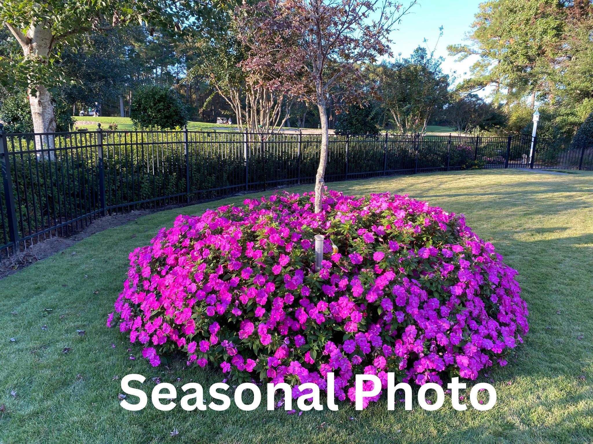 272 Savannah Dr. Property Photo 47