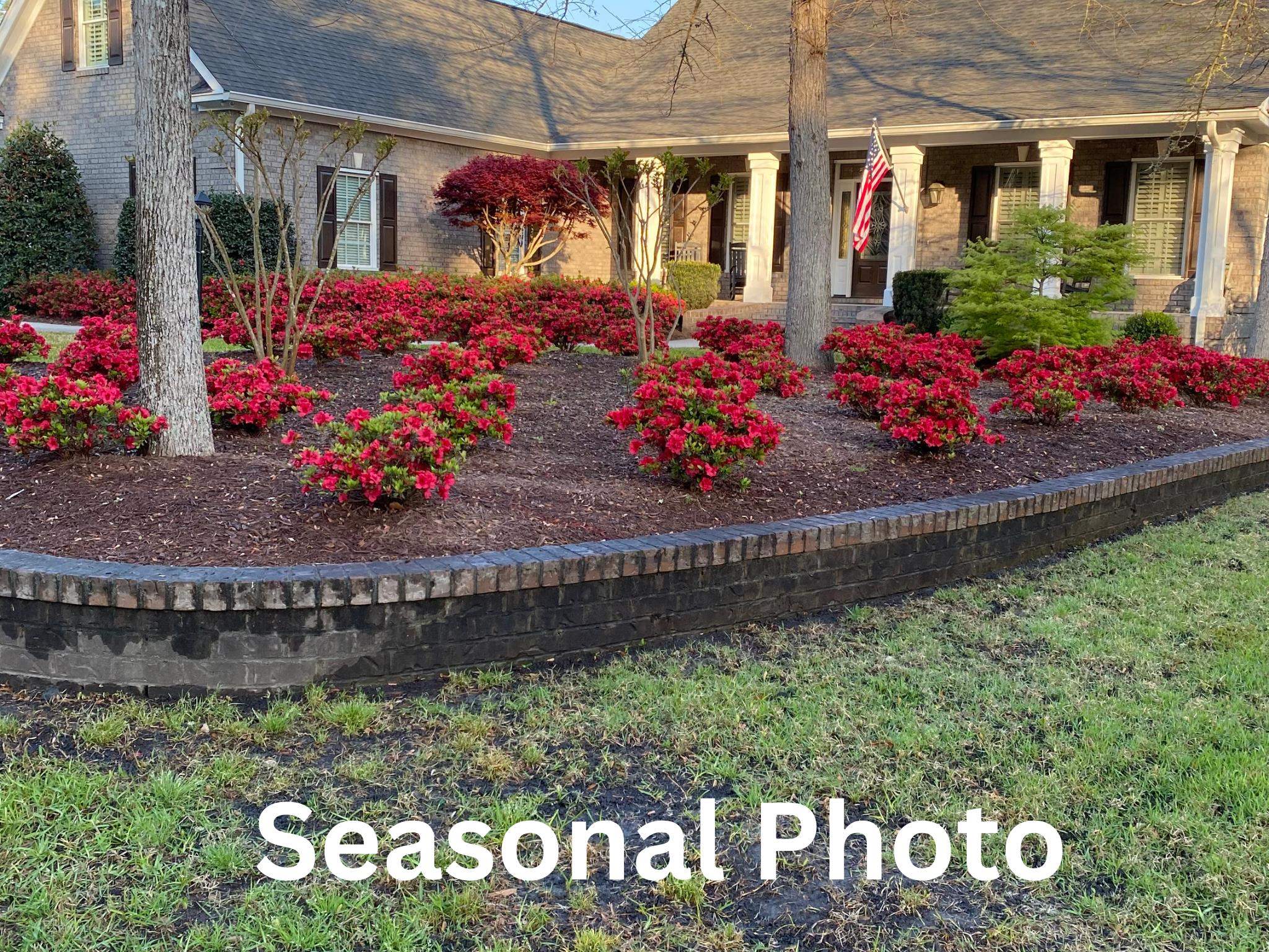 272 Savannah Dr. Property Photo 48