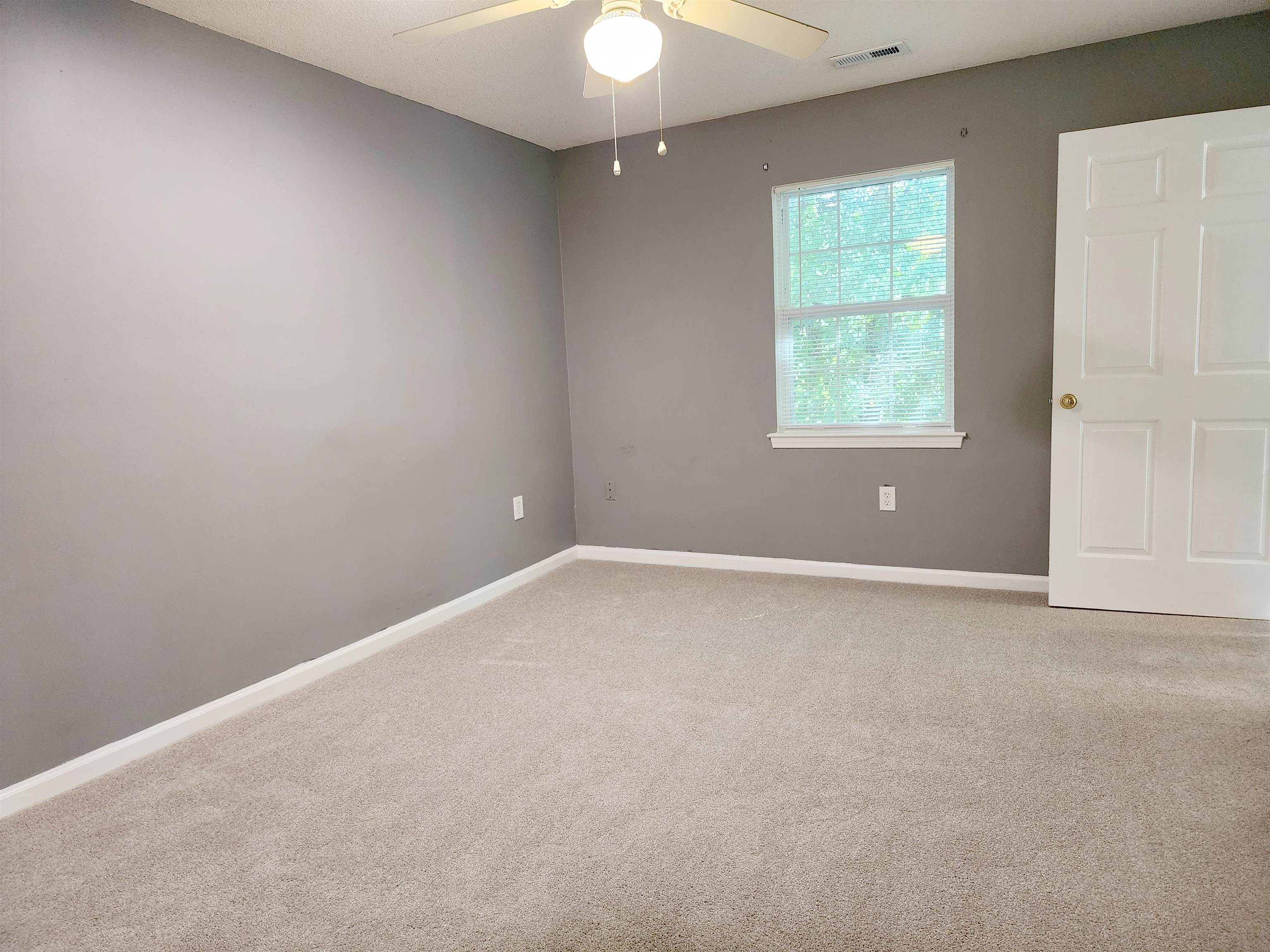 195 Egret Run Ln. Property Photo 10