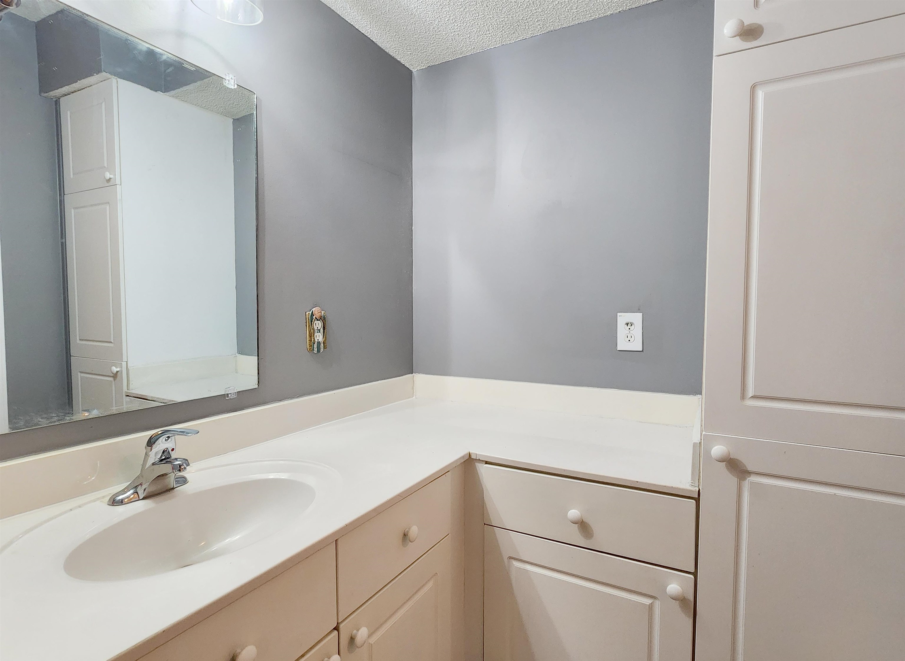195 Egret Run Ln. Property Photo 12