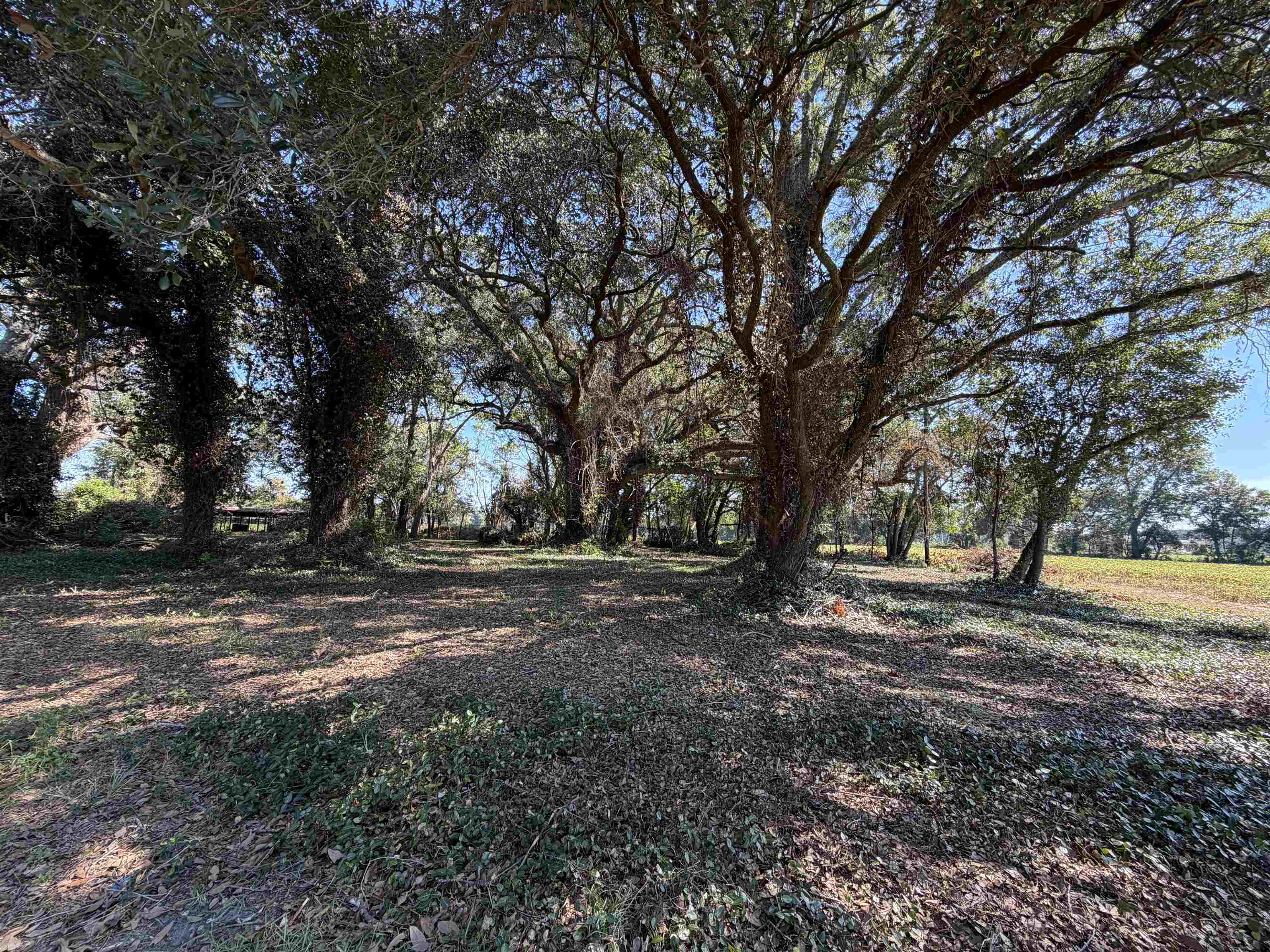 Lot 2 - Sumter Hwy. Property Photo 1