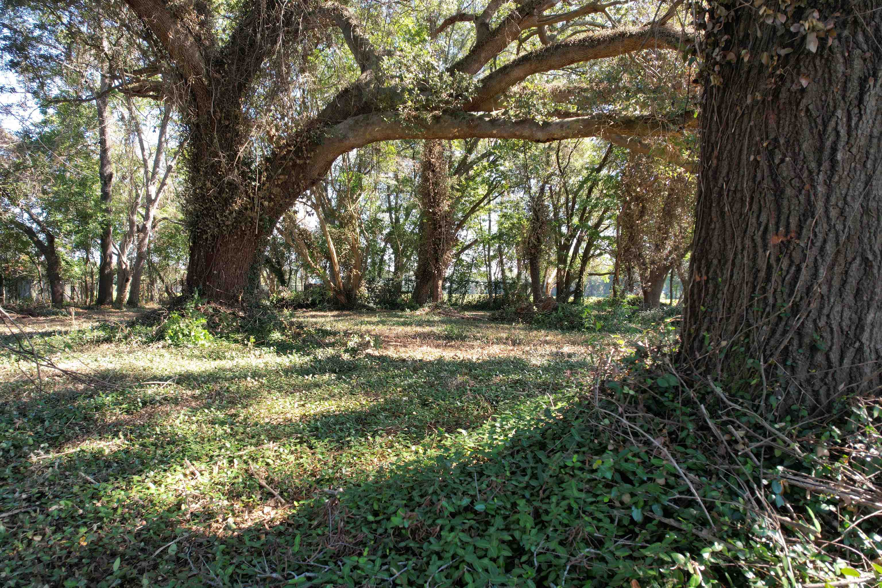 Lot 2 - Sumter Hwy. Property Photo 2