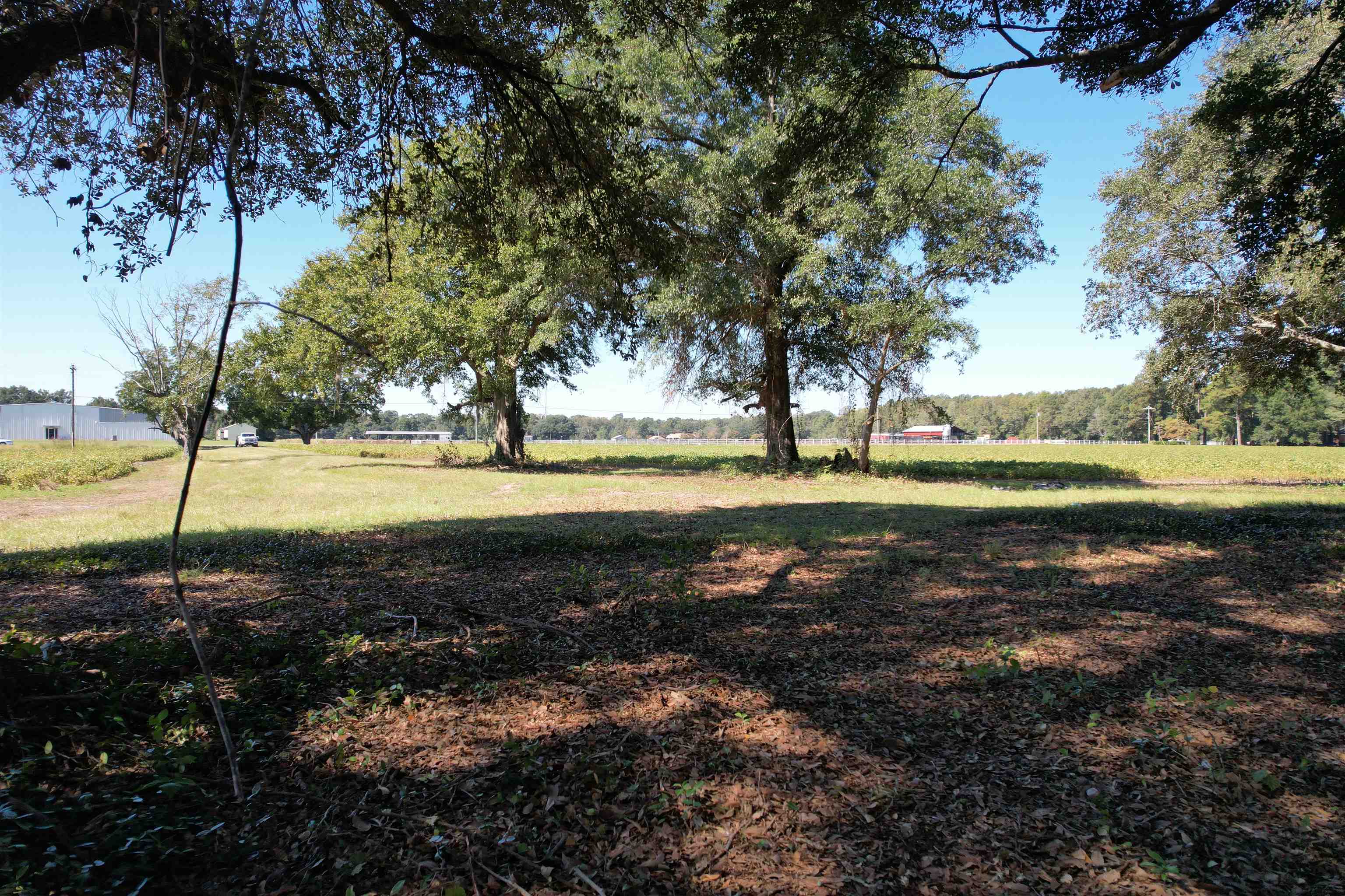 Lot 2 - Sumter Hwy. Property Photo 3