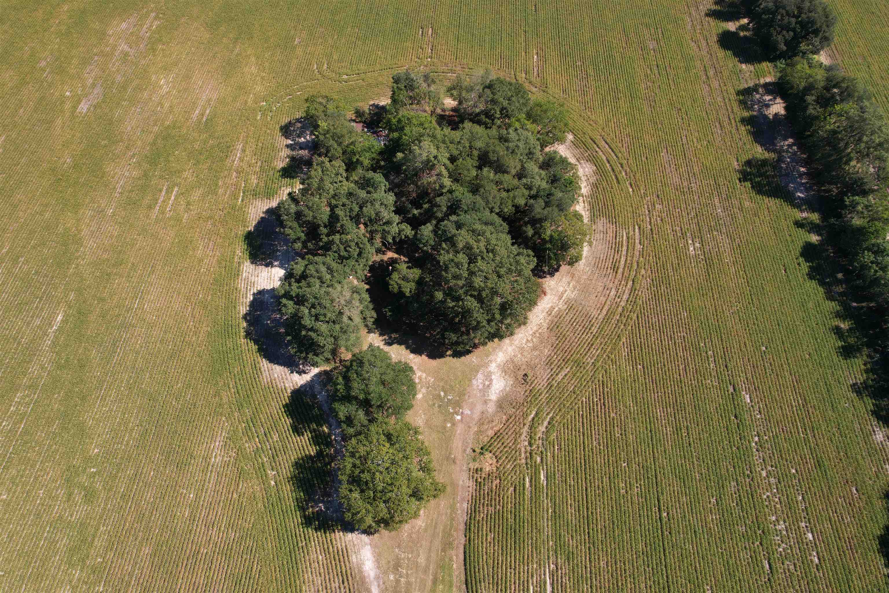 Lot 2 - Sumter Hwy. Property Photo 5