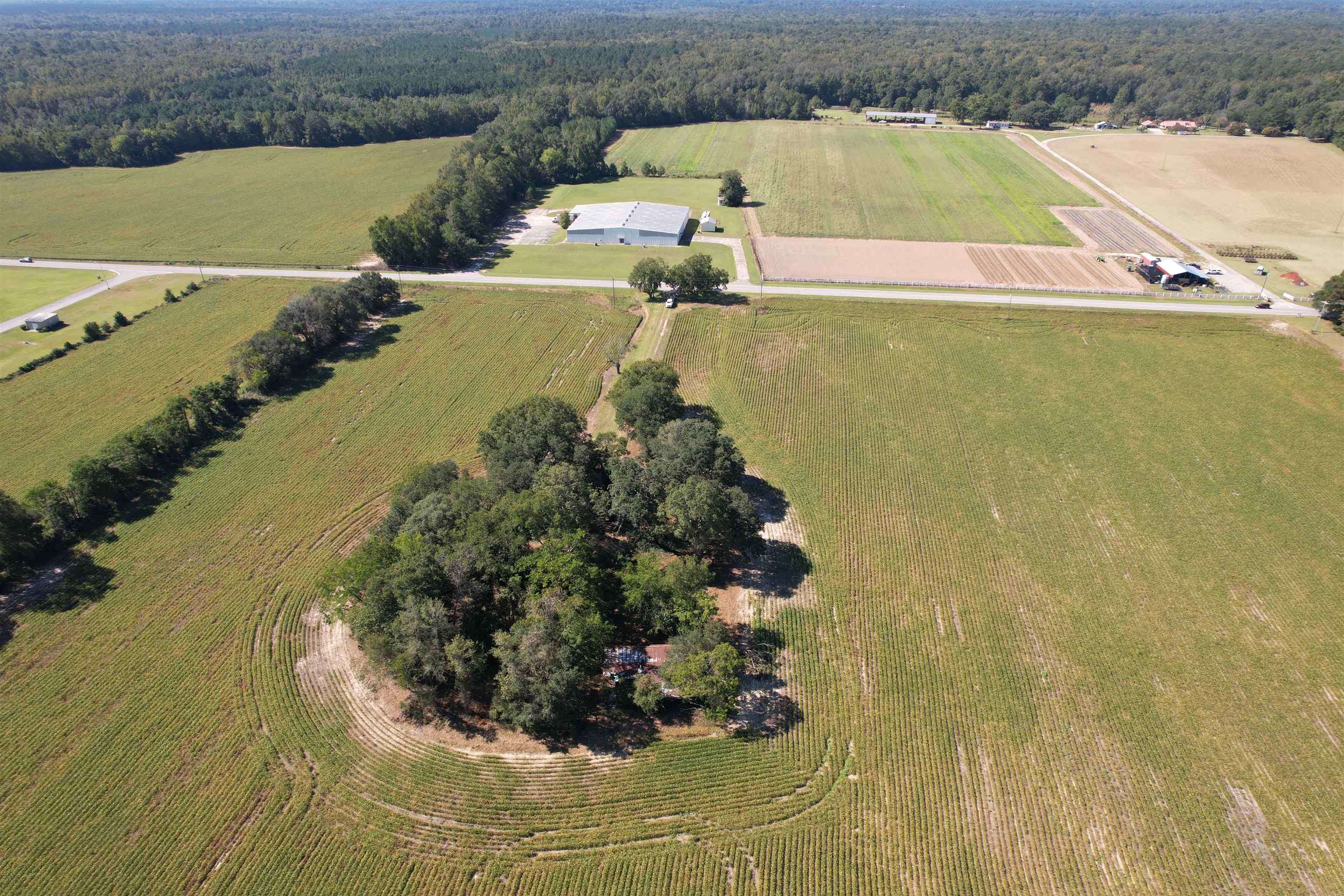 Lot 2 - Sumter Hwy. Property Photo 6