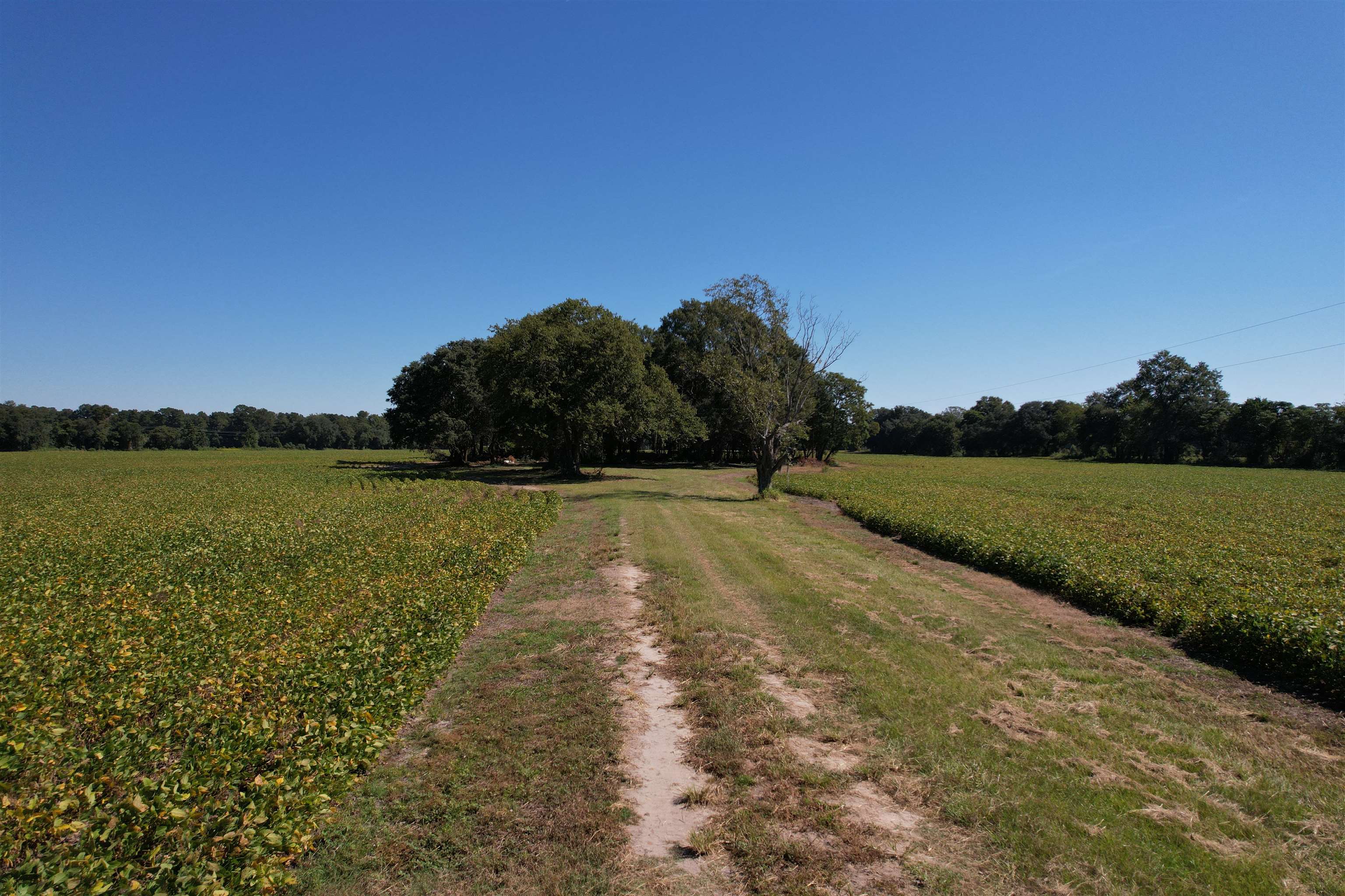 Lot 2 - Sumter Hwy. Property Photo 7