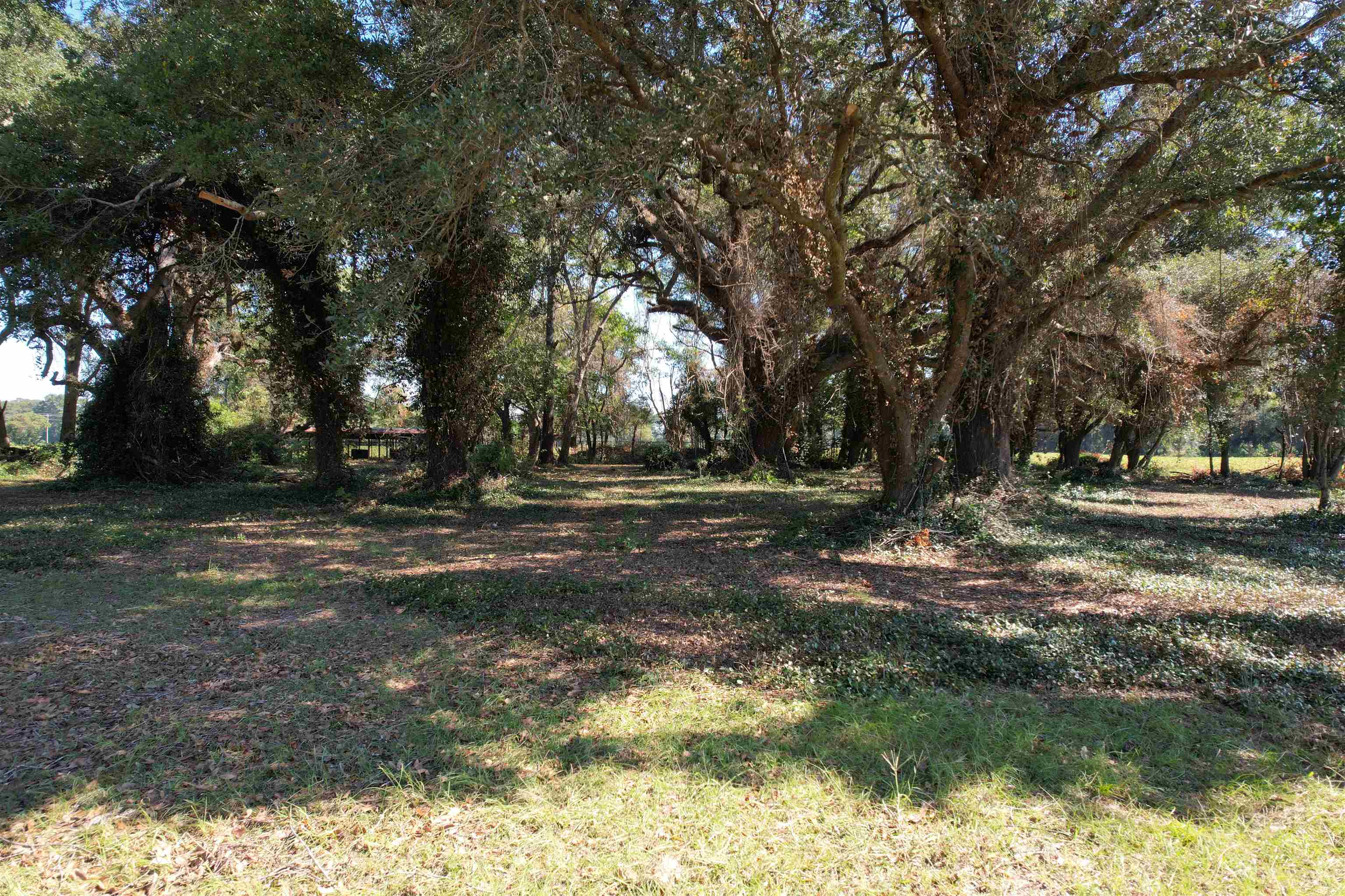 Lot 2 - Sumter Hwy. Property Photo 8